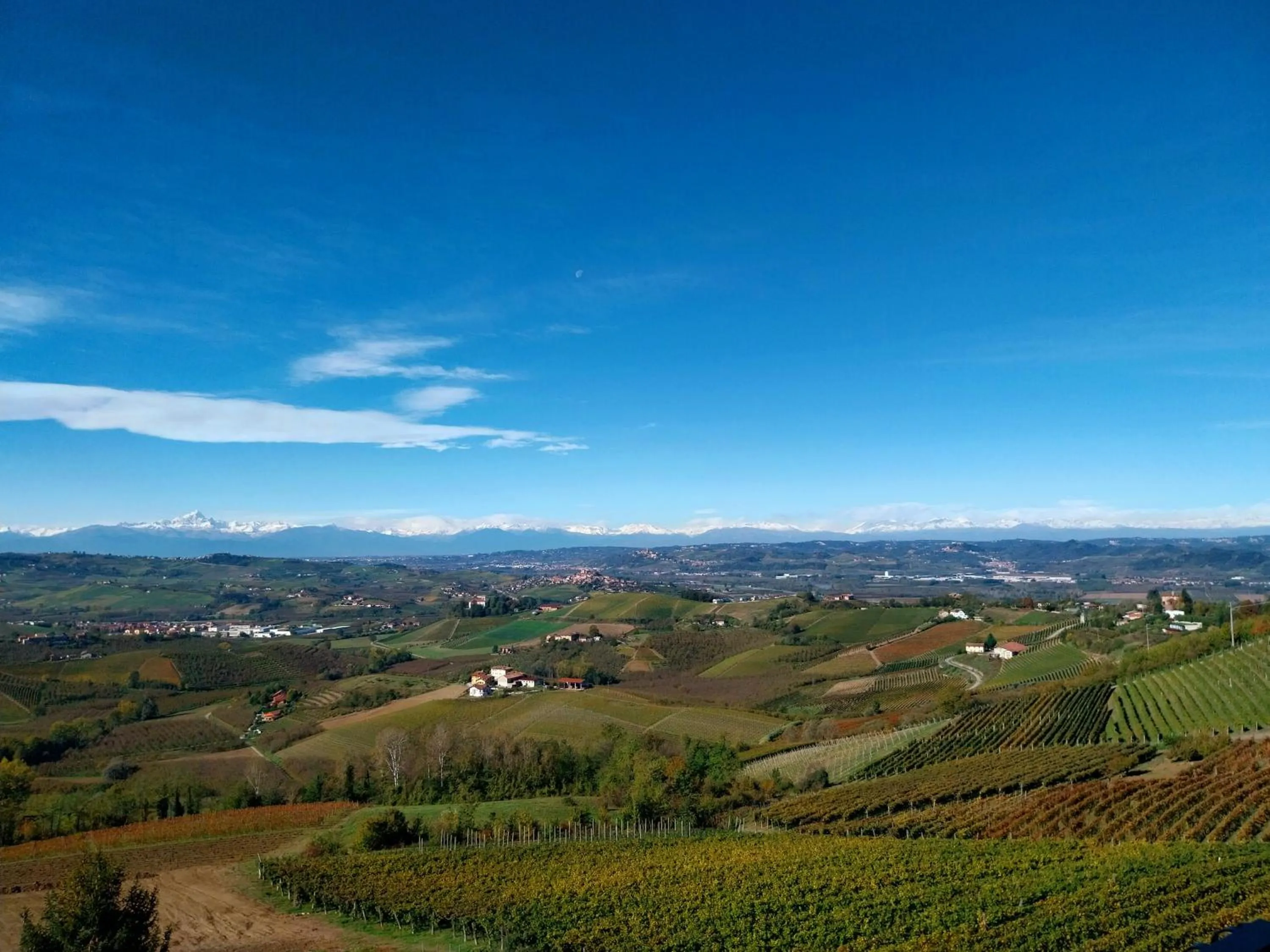 Mountain view in Villa Bellavista Alba, B&B