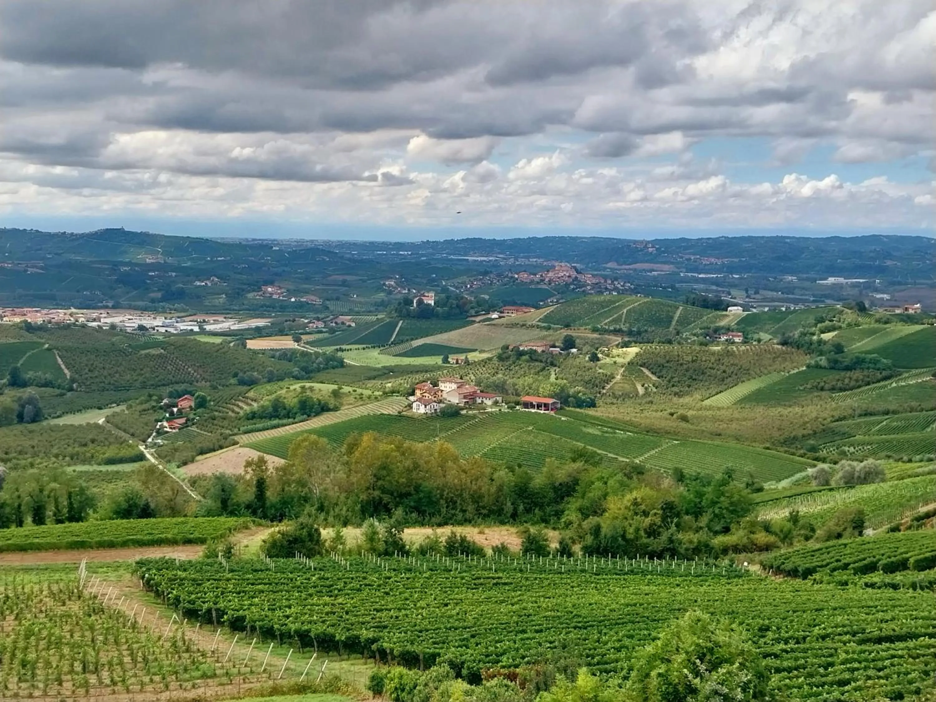 Natural landscape in Villa Bellavista Alba, B&B