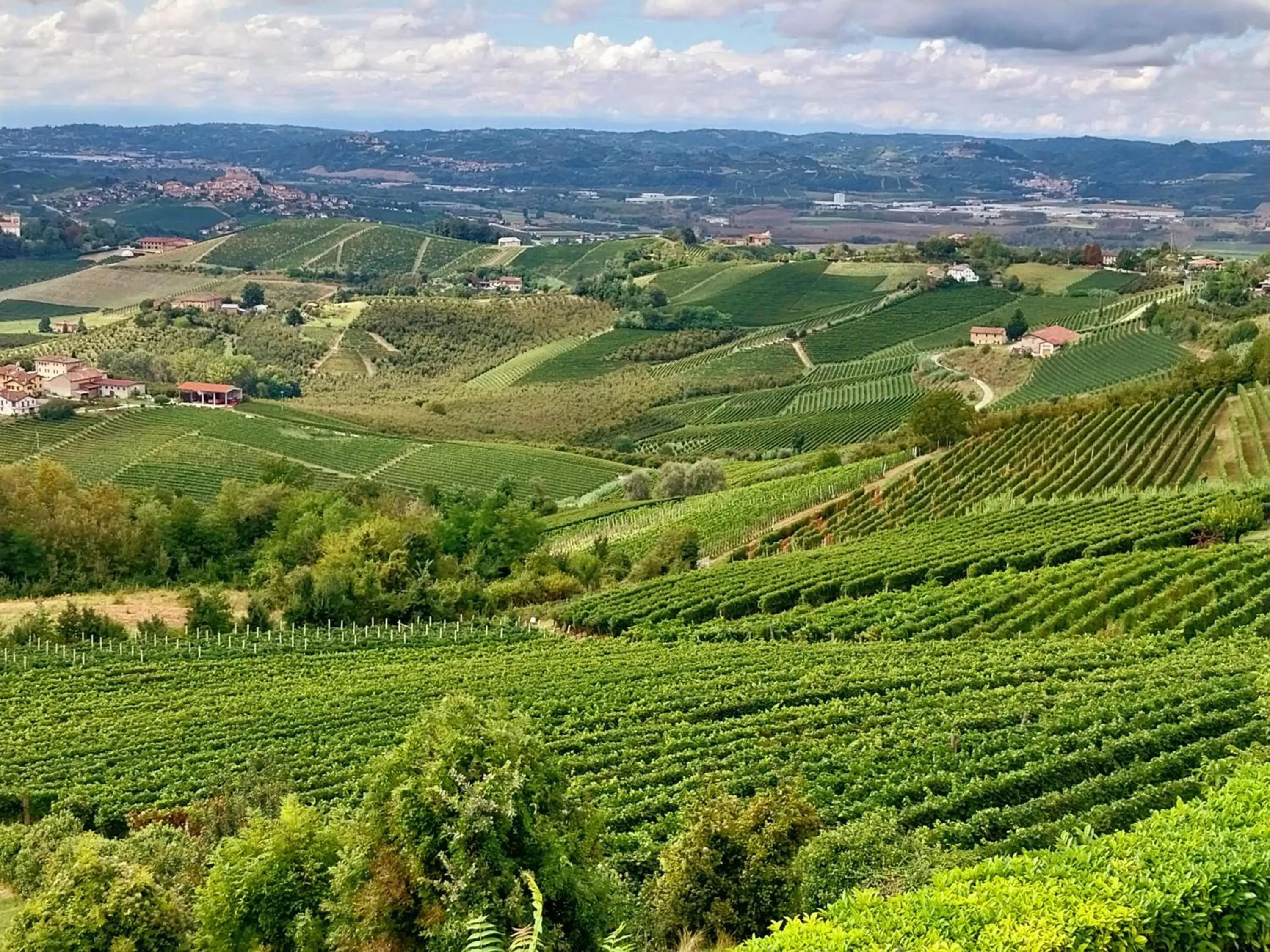 Natural landscape in Villa Bellavista Alba, B&B
