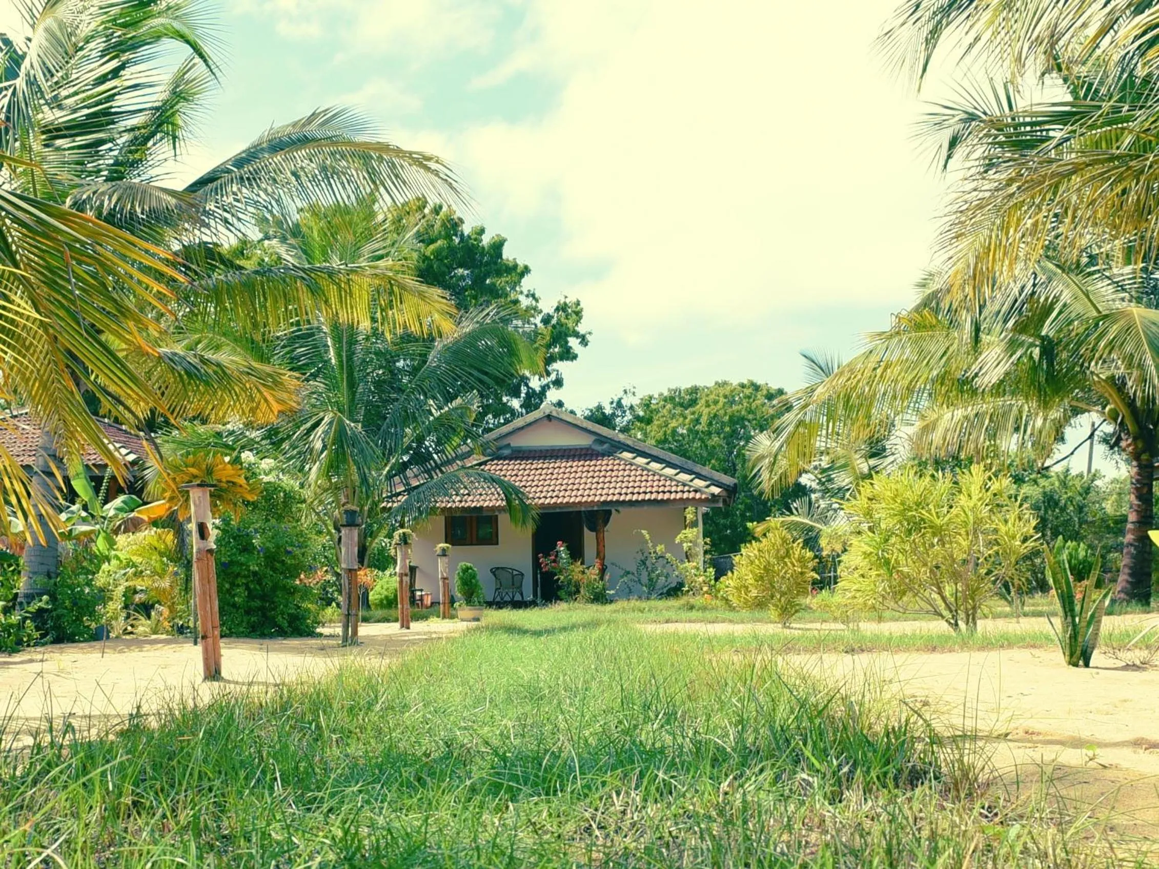Property building in Prime Surfers Bungalow