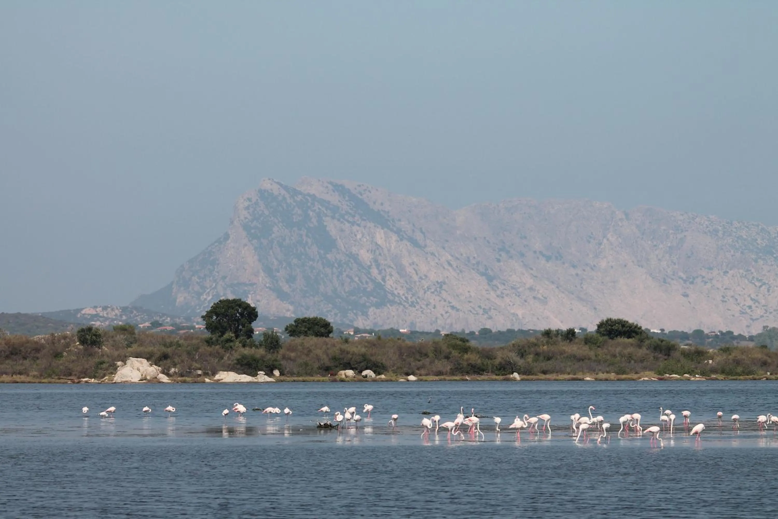 Natural landscape in Monolocale belvedere