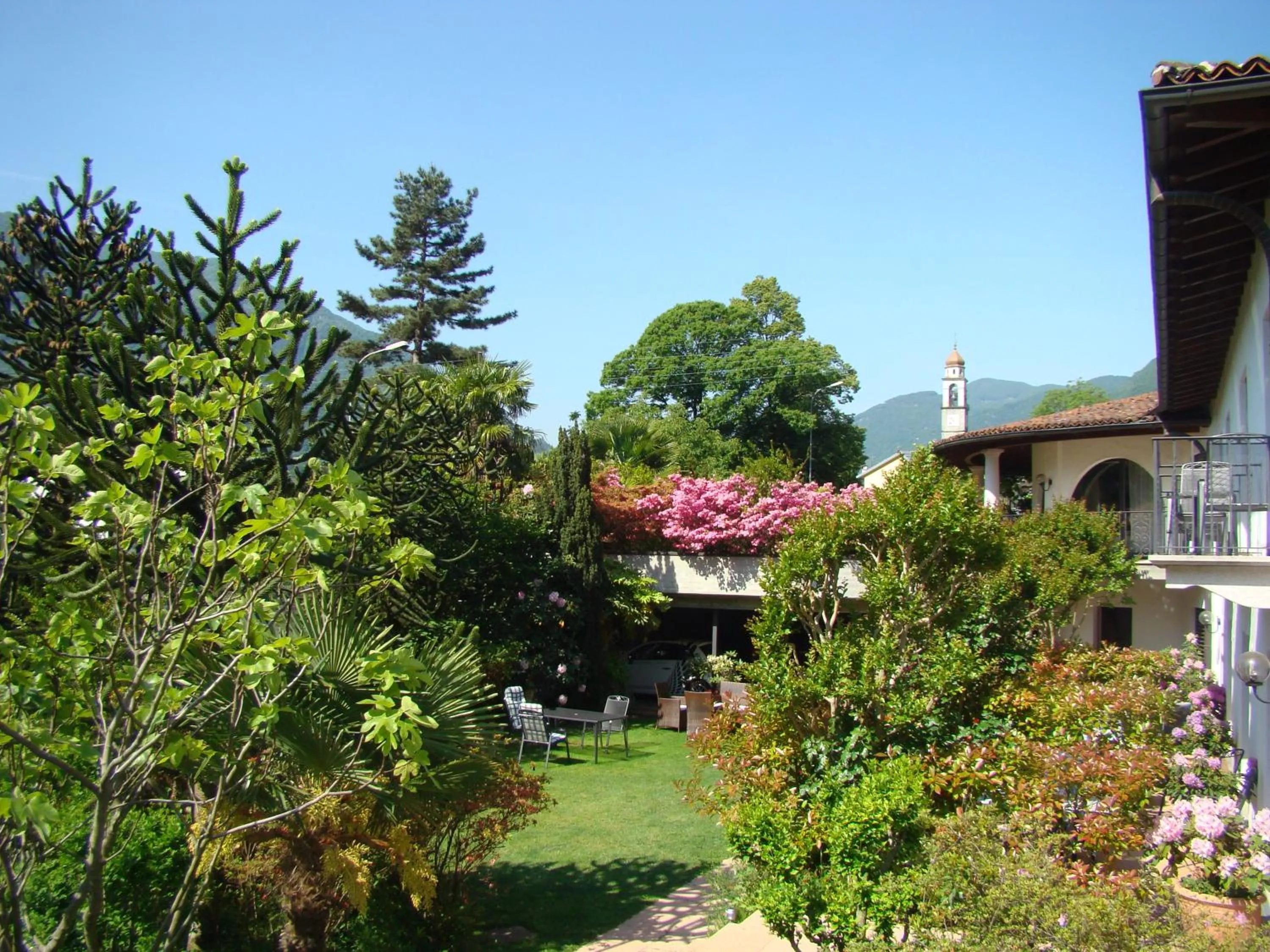 Garden in Hotel Al Fiume