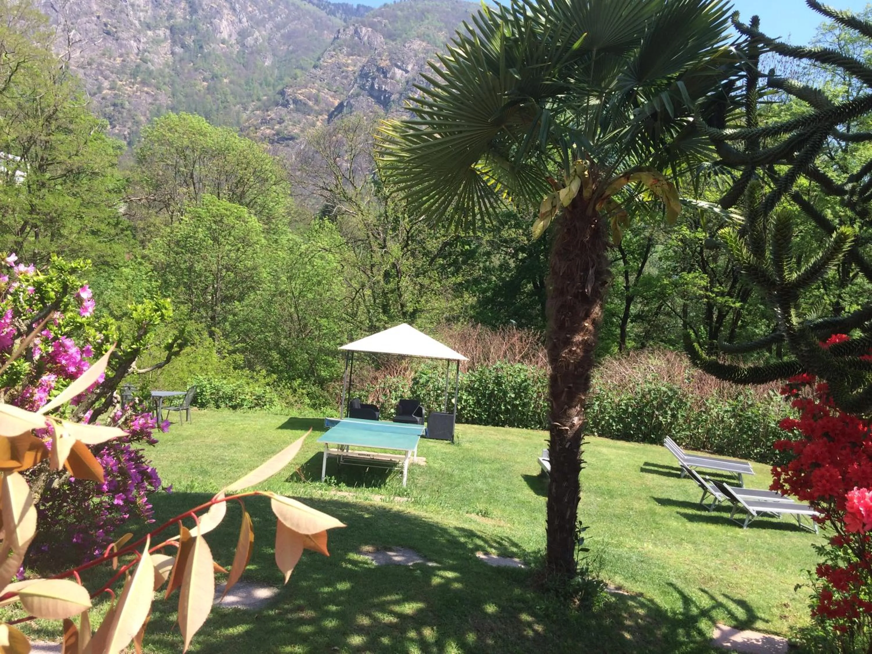 Garden view in Hotel Al Fiume