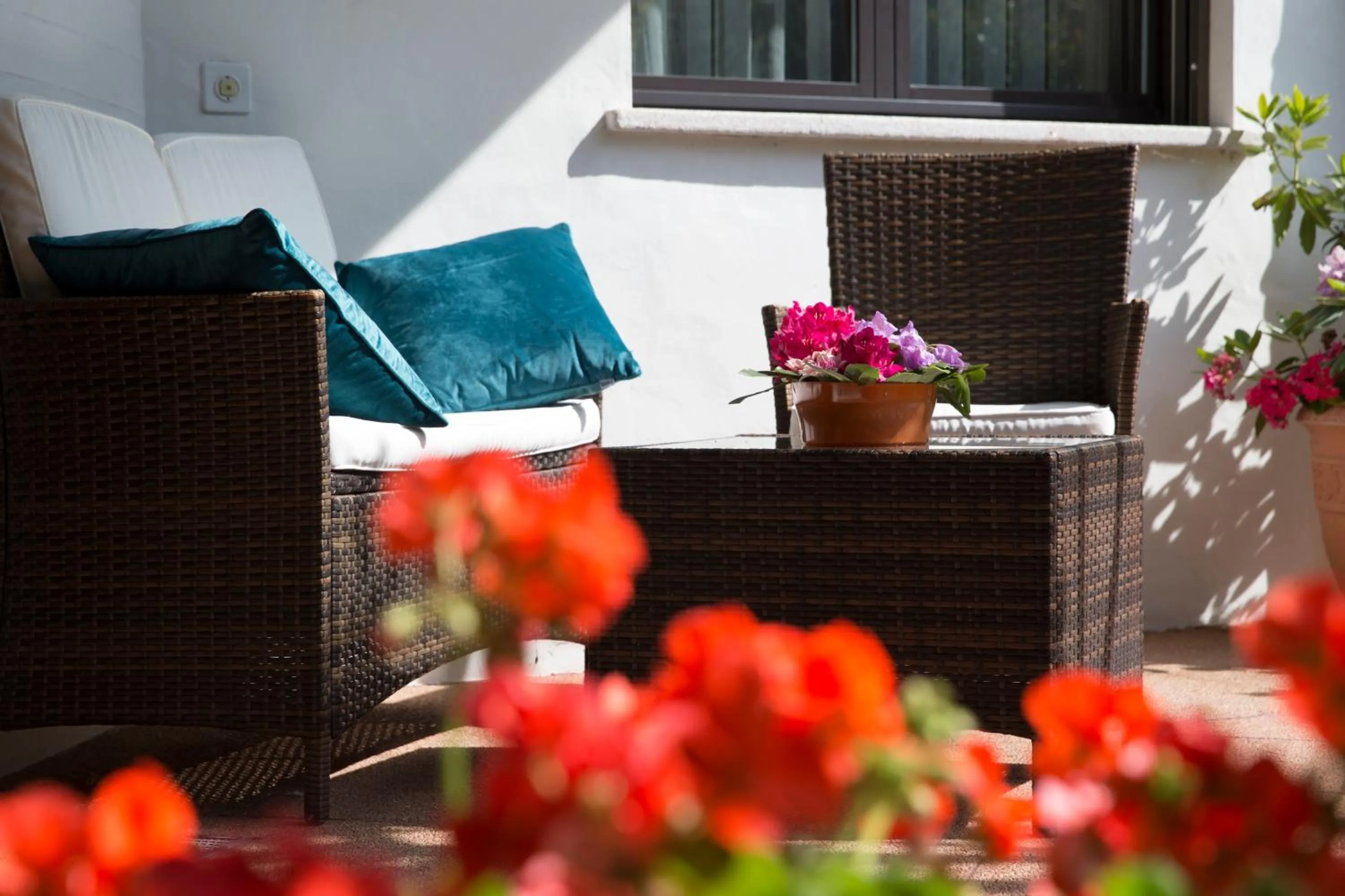 Balcony/Terrace in Hotel Al Fiume