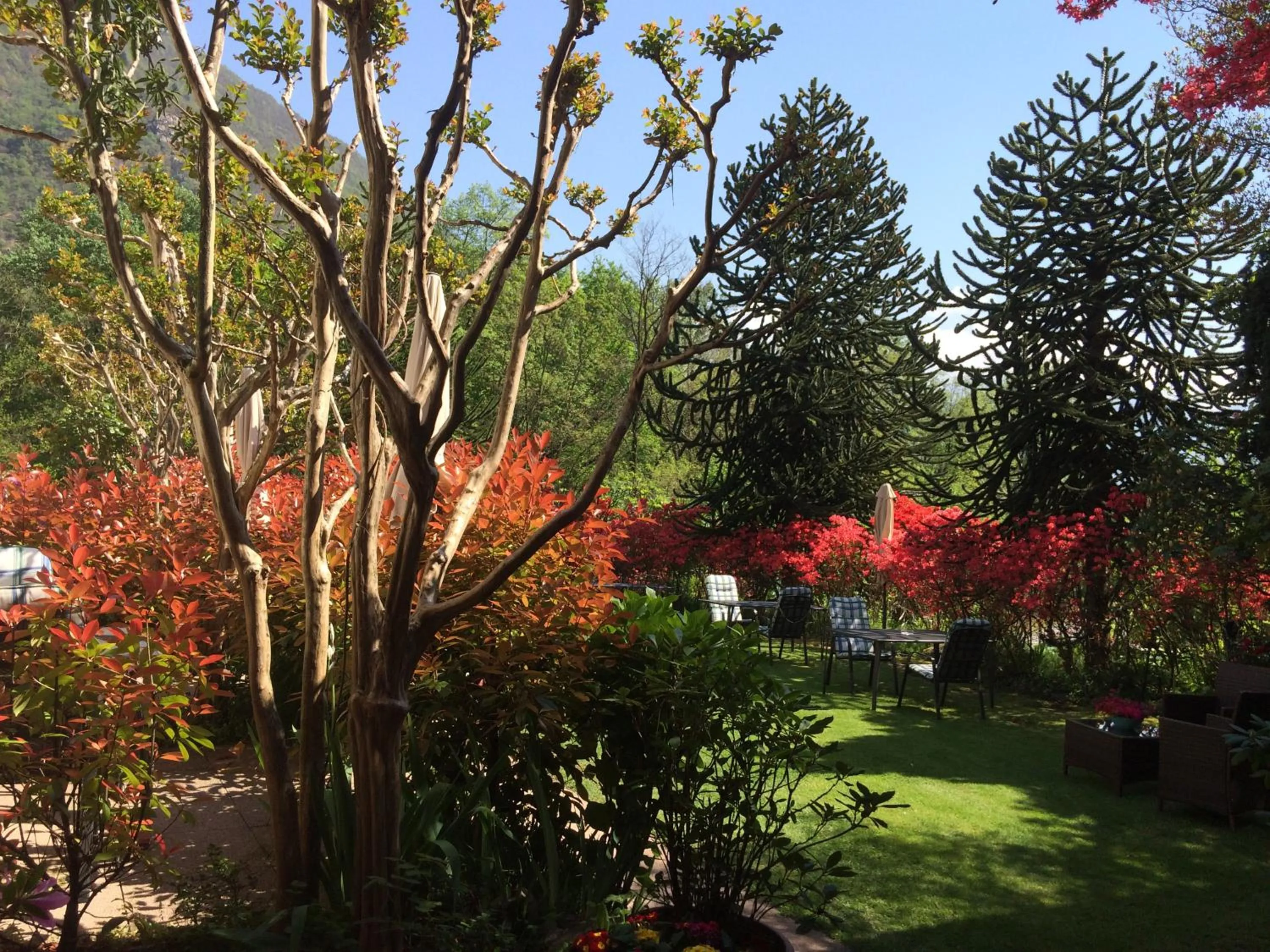 Garden in Hotel Al Fiume