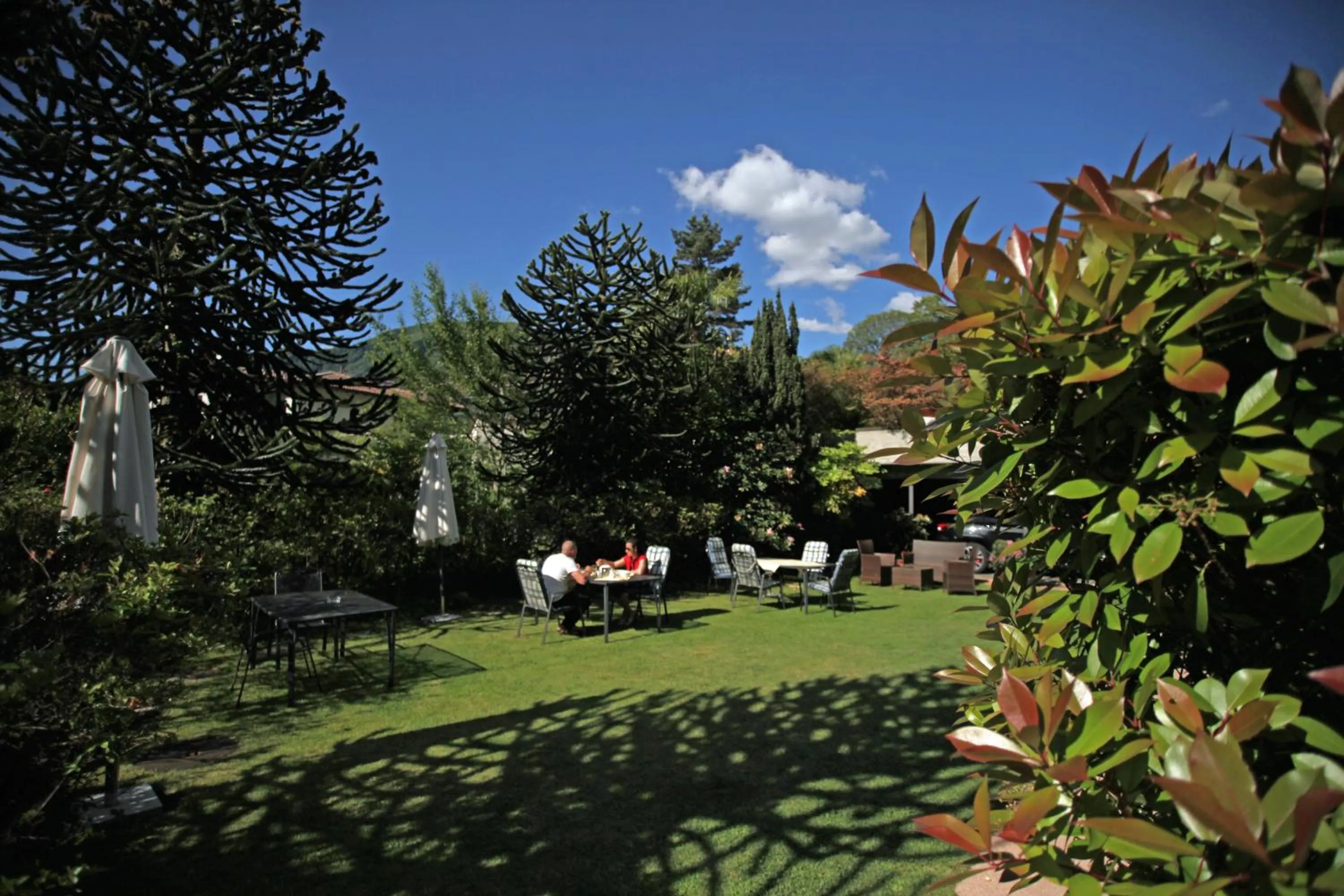 Restaurant/places to eat in Hotel Al Fiume