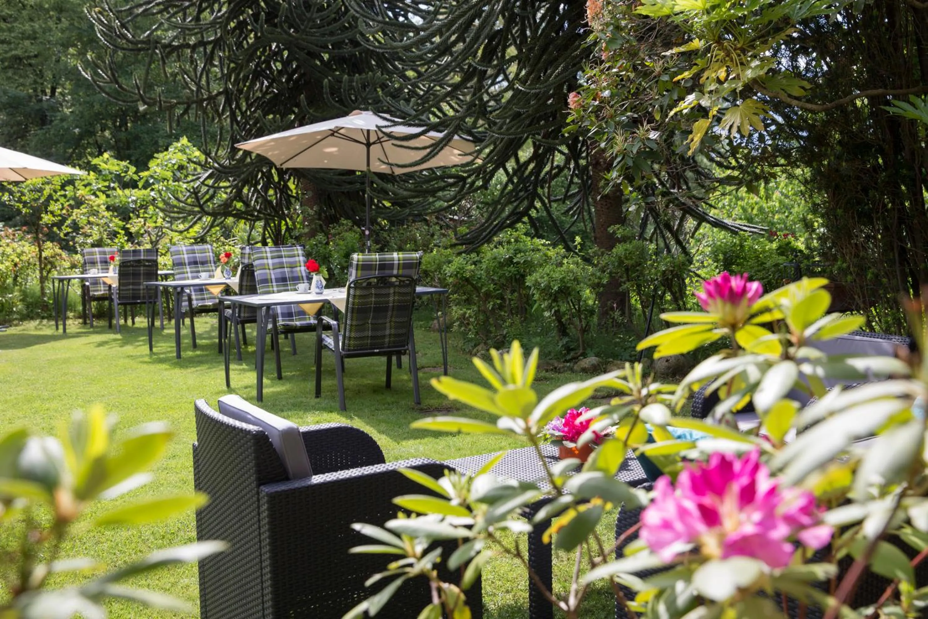 Garden in Hotel Al Fiume