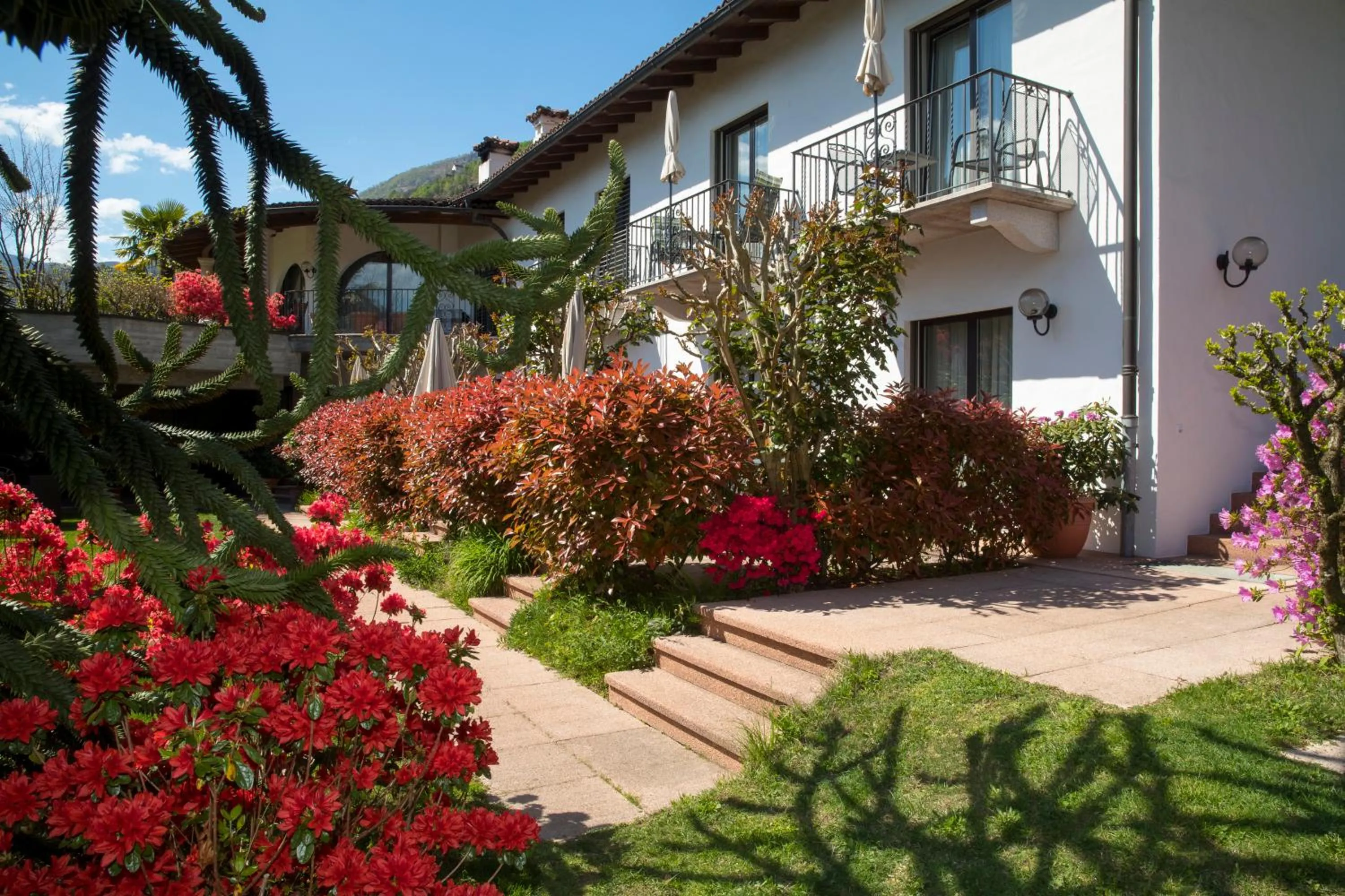 Property building in Hotel Al Fiume