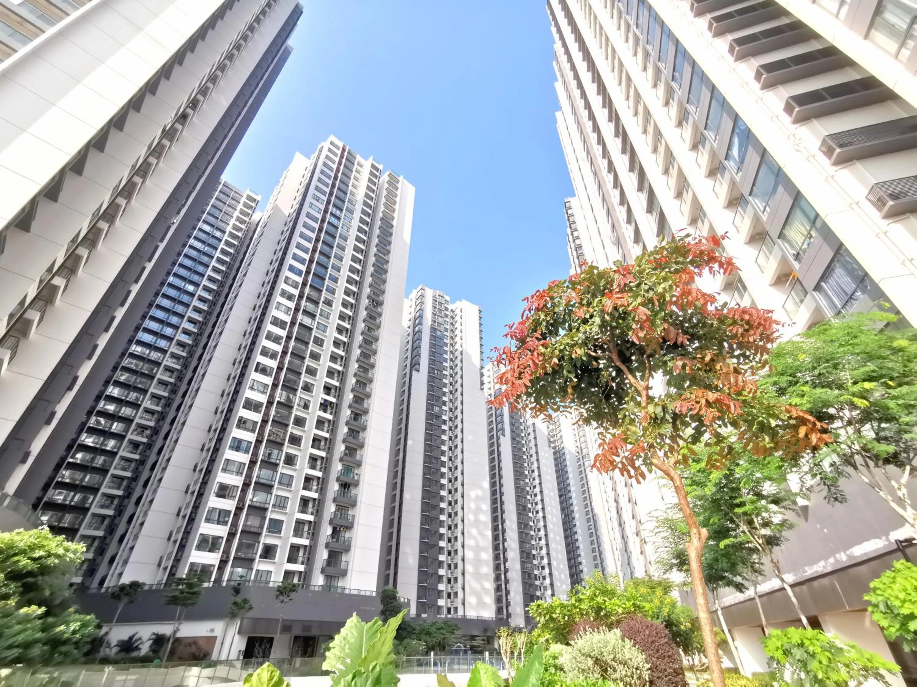 R&F Princess Cove by Maco Home