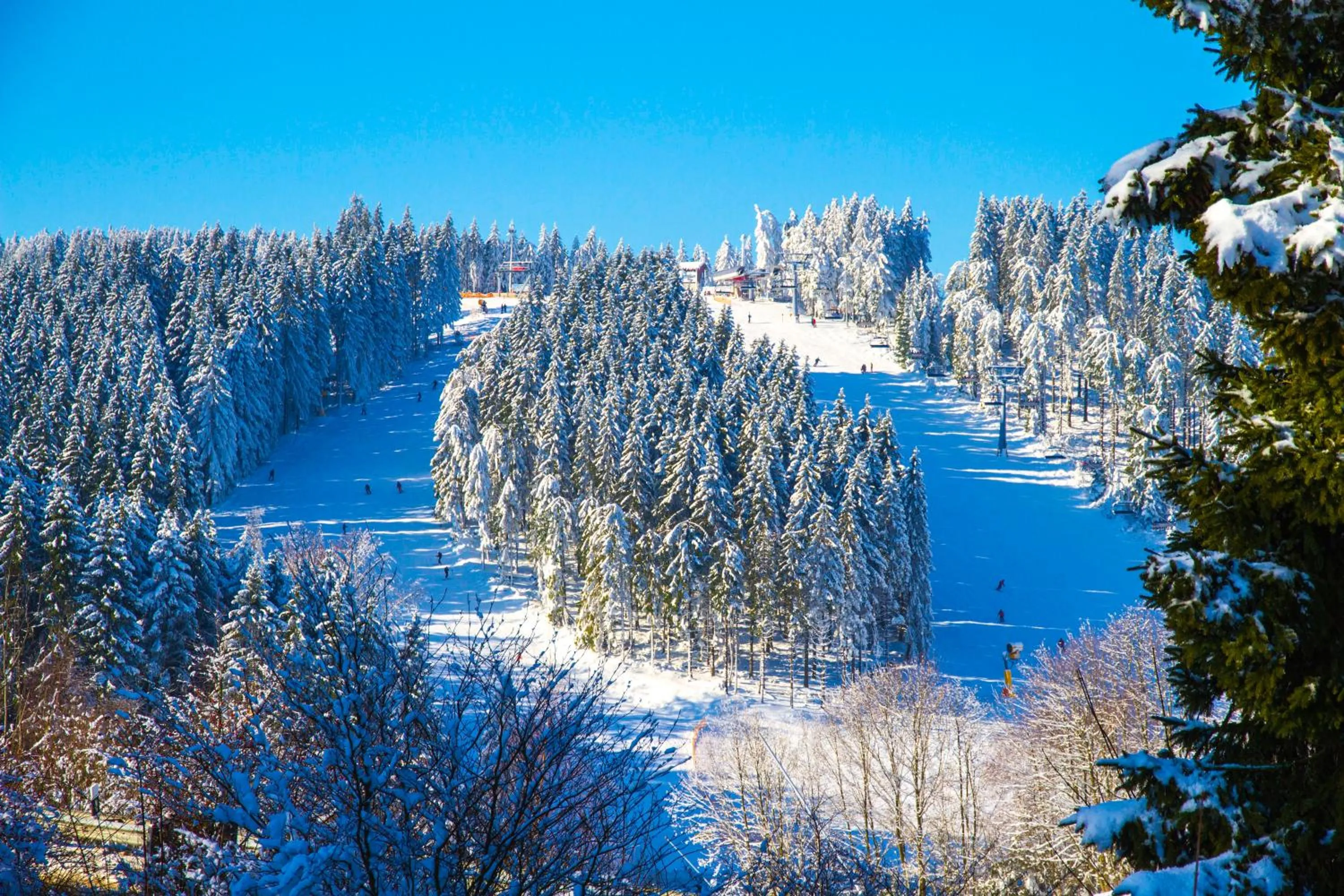 Skiing in Hotel Schneider