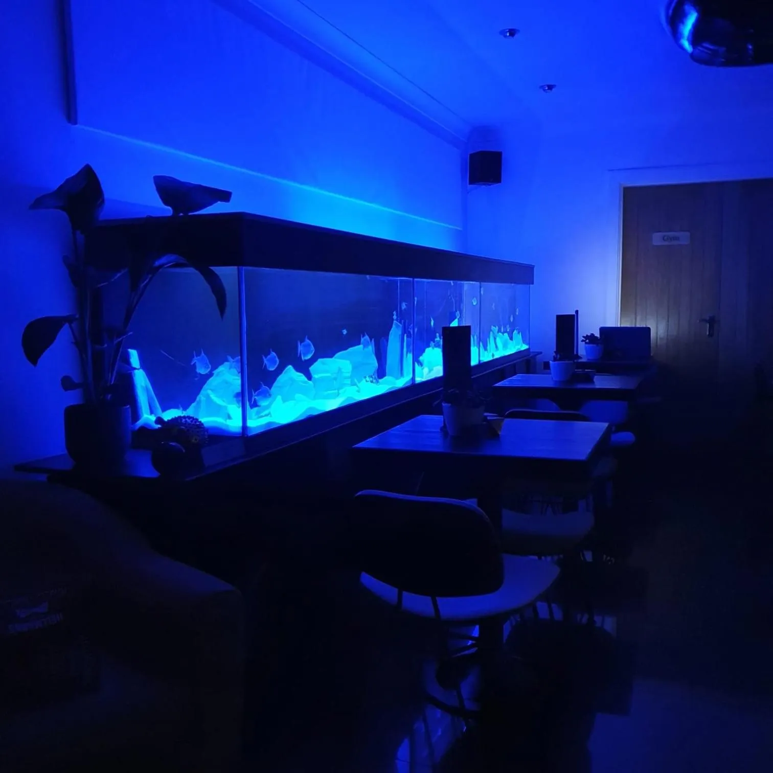 Dining area in The Orange Fox Lux Room and Hot Tub at The Grumpy Schnauzer Guest House