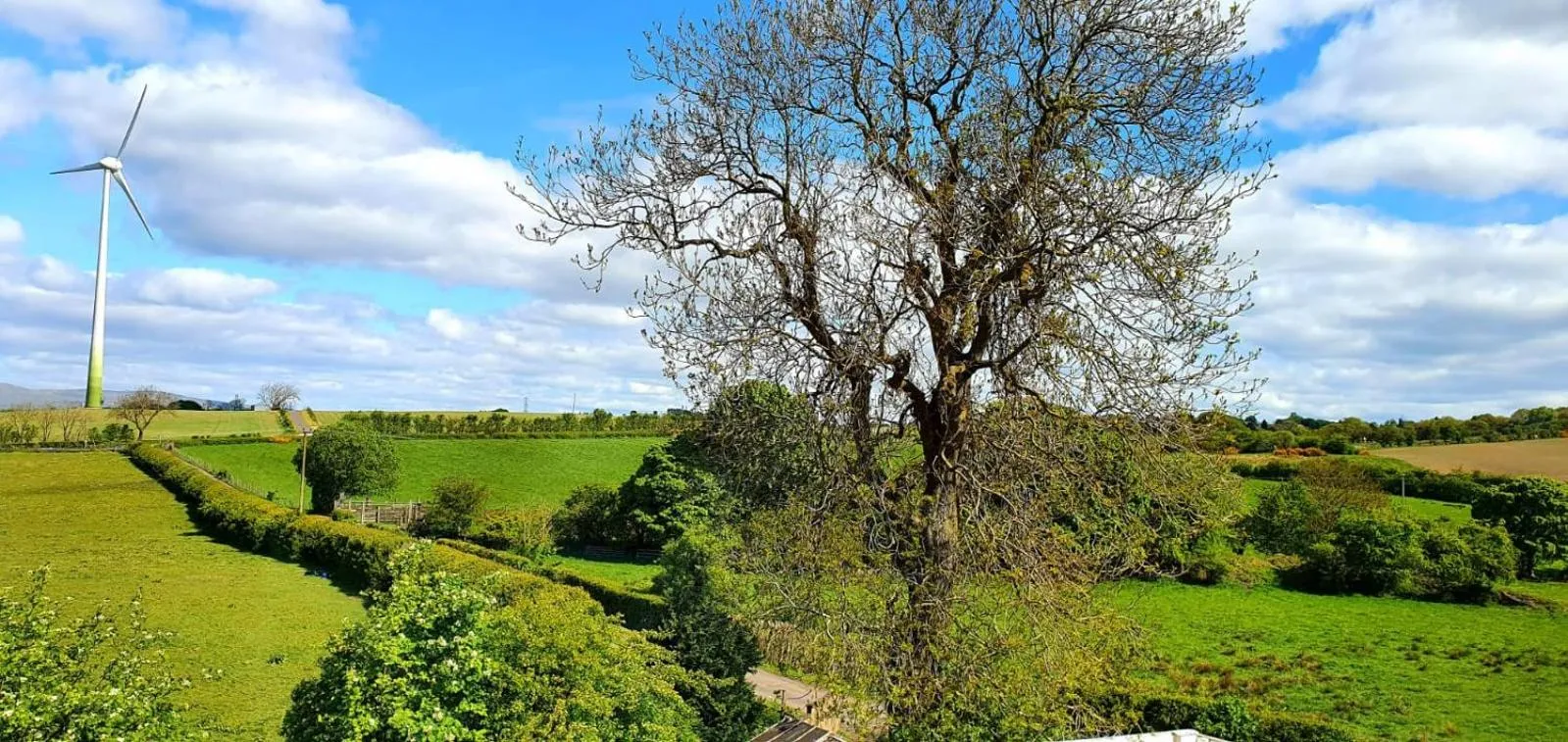 The Orange Fox Lux Room and Hot Tub at The Grumpy Schnauzer Guest House