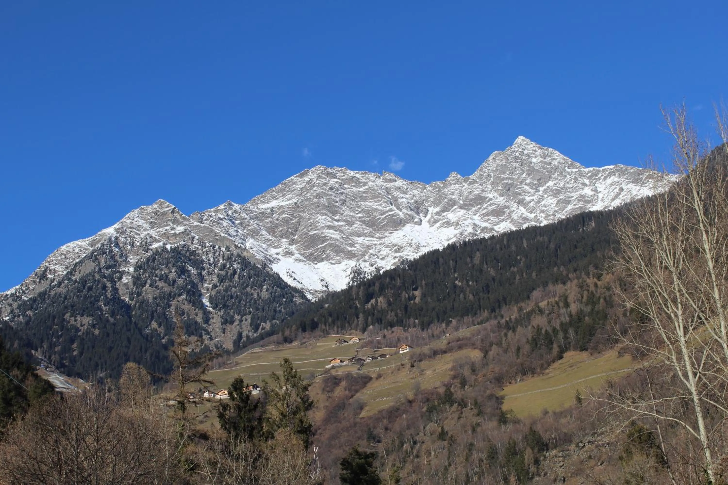 Natural landscape in Appartements Lenzenhof