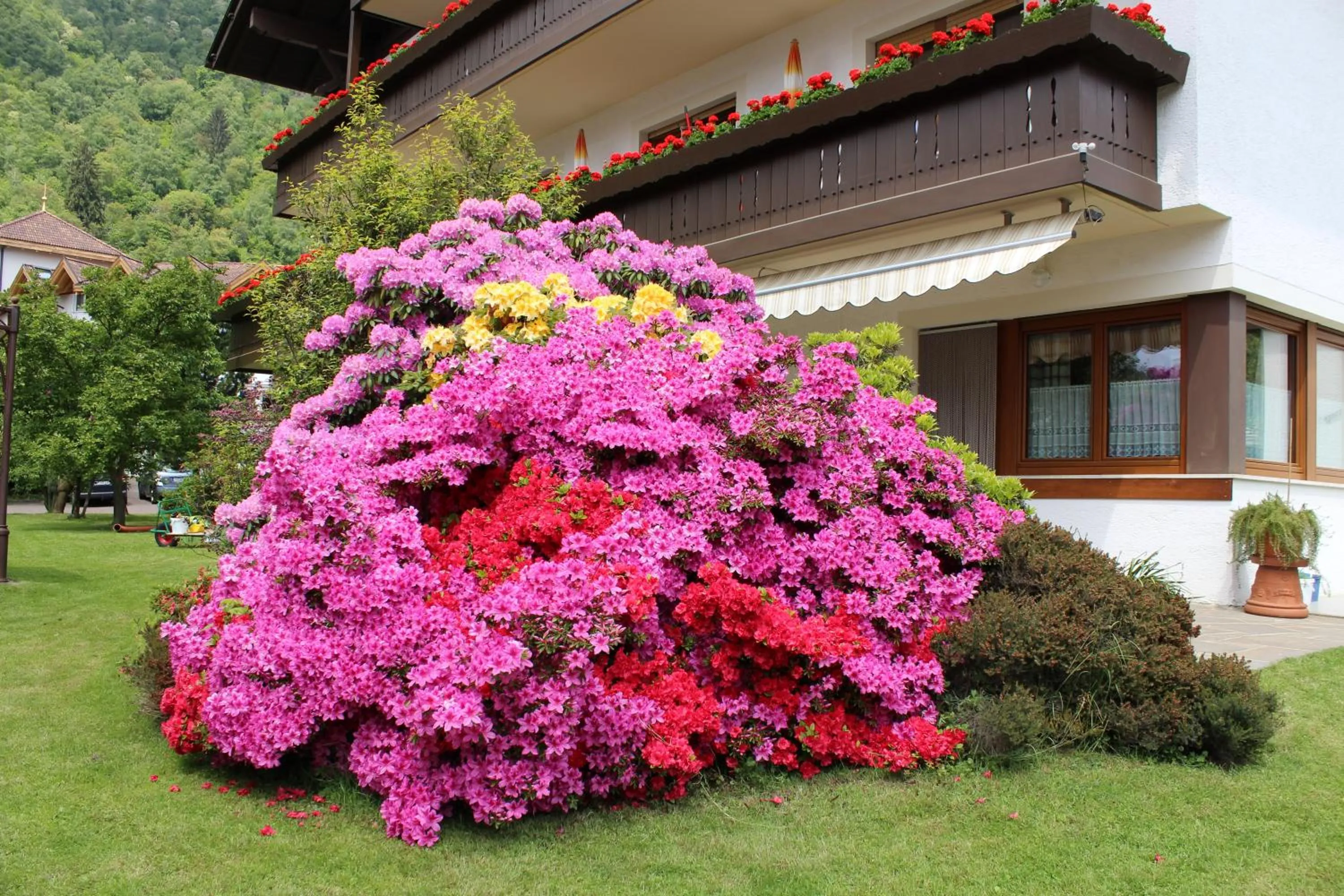 Garden in Appartements Lenzenhof