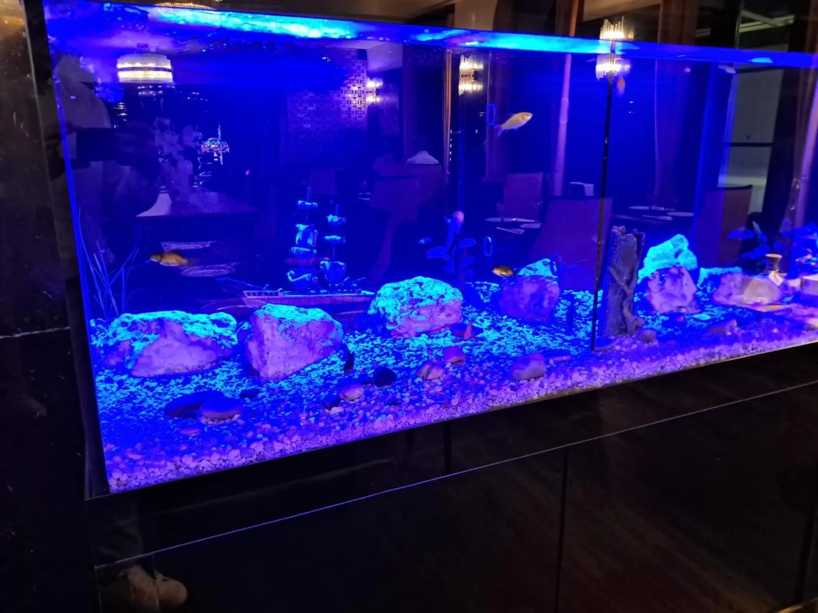 Hotel República Boutique Hotel