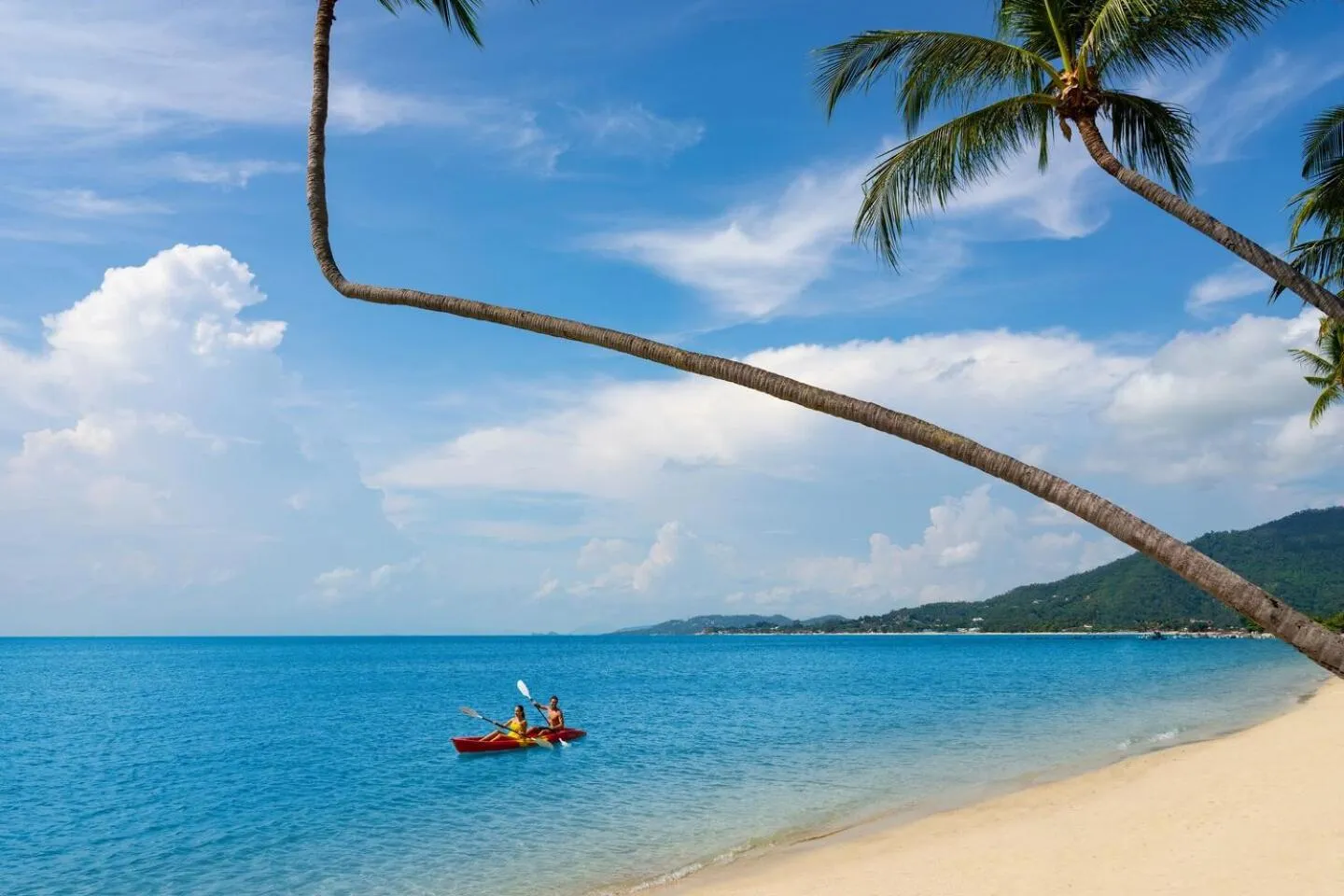 Beach in The Lamai Samui