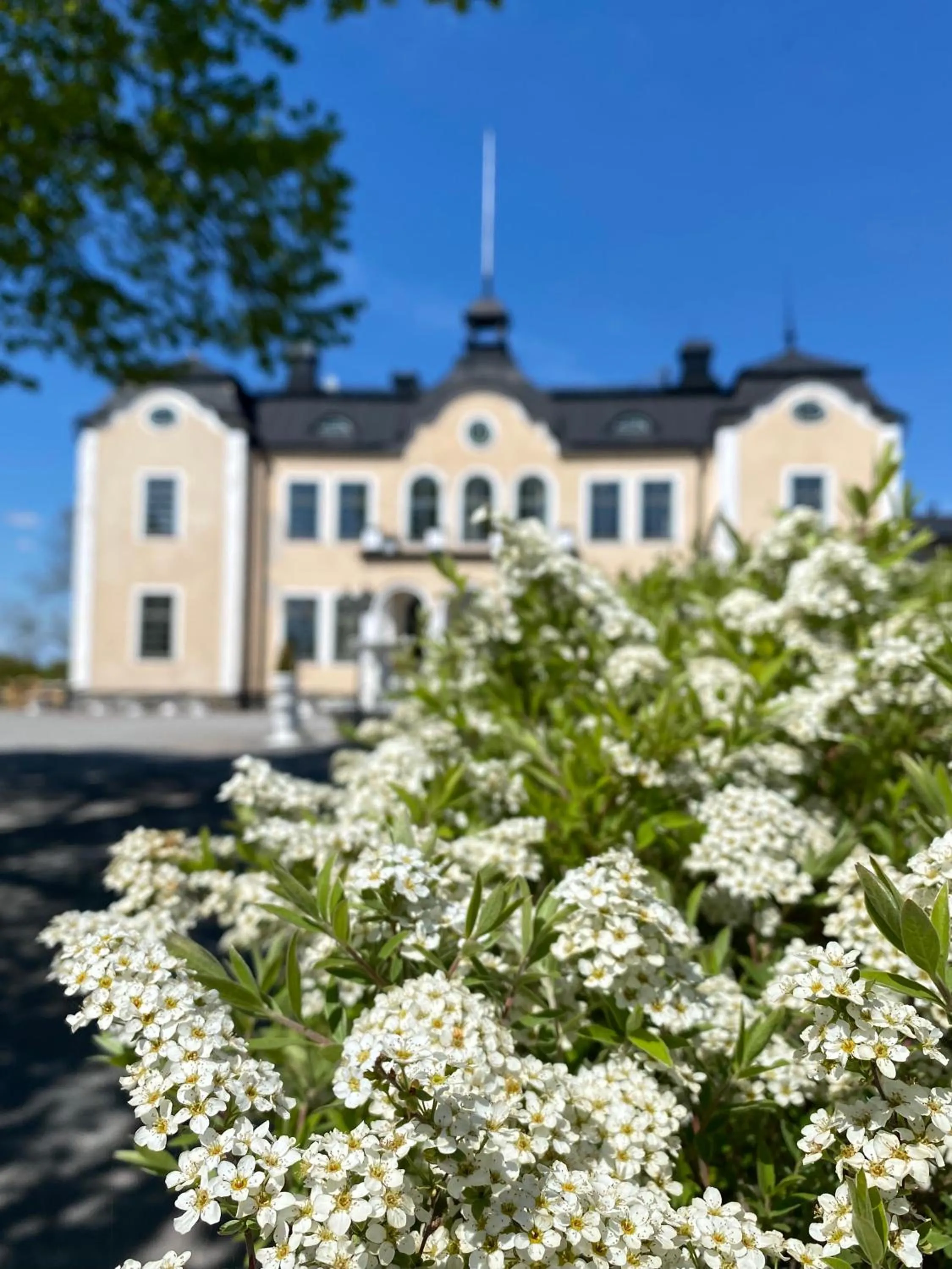 Property building in Johannesbergs Slott