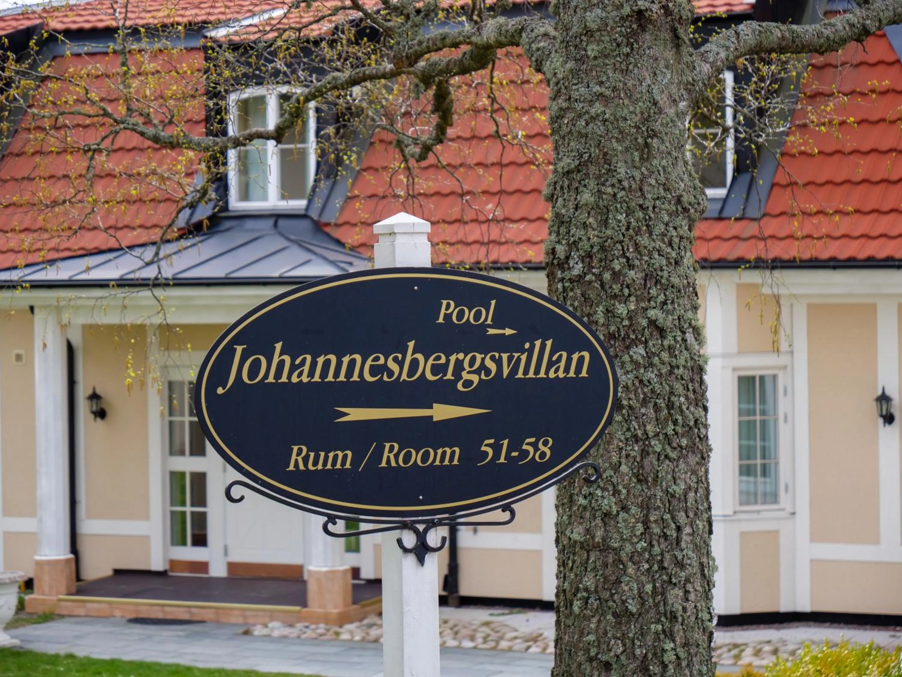View (from property/room) in Johannesbergs Slott