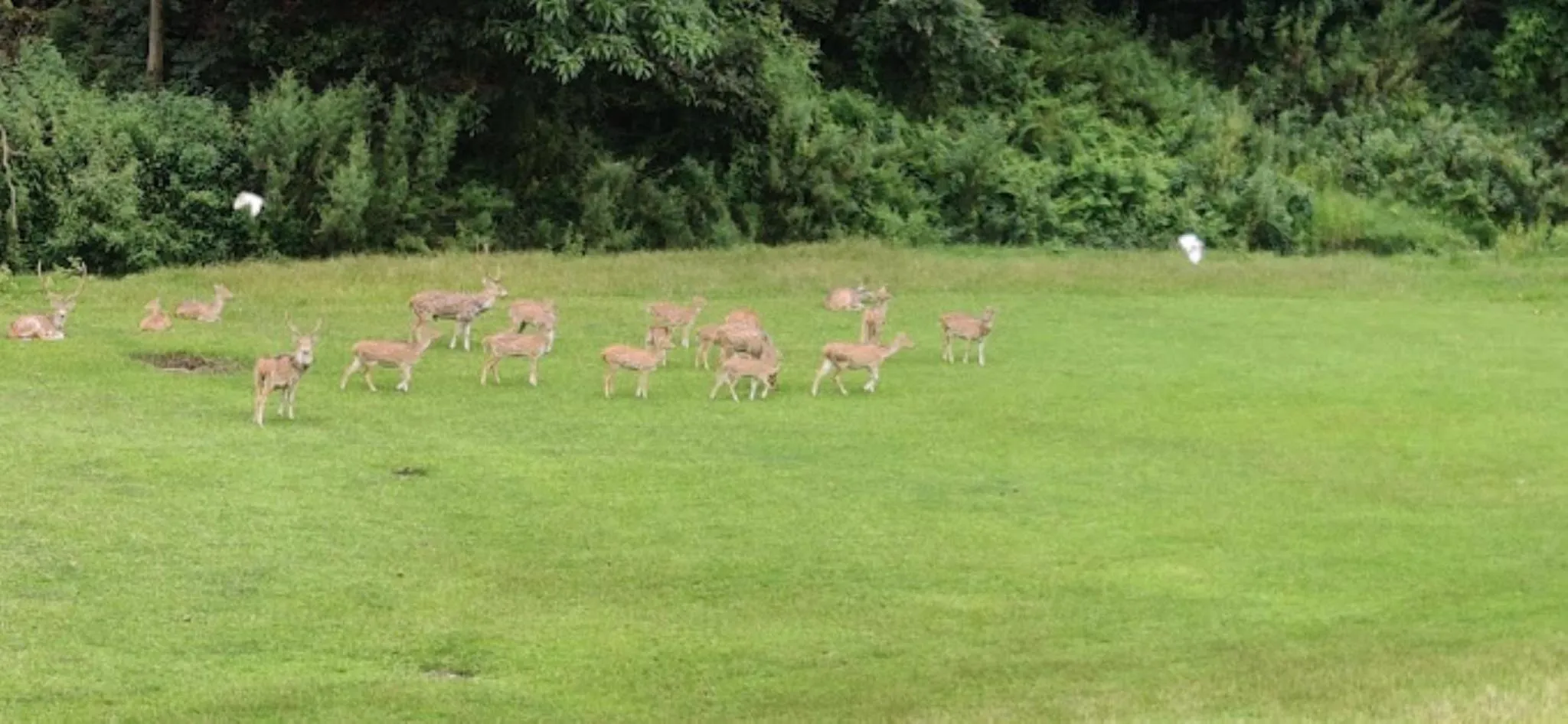 Day in Hotel Dolmaling