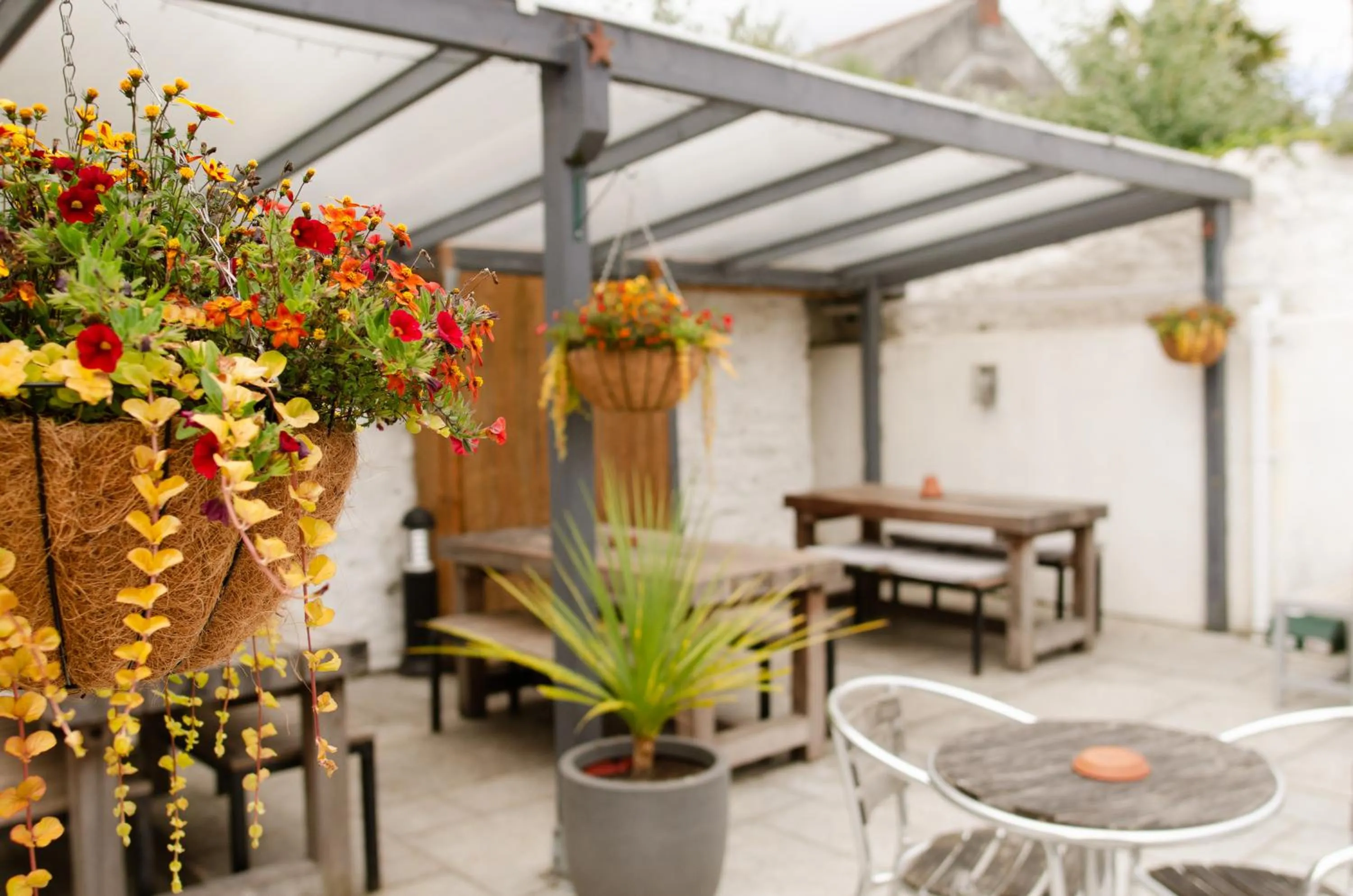 Property building in Seven Stars Penryn