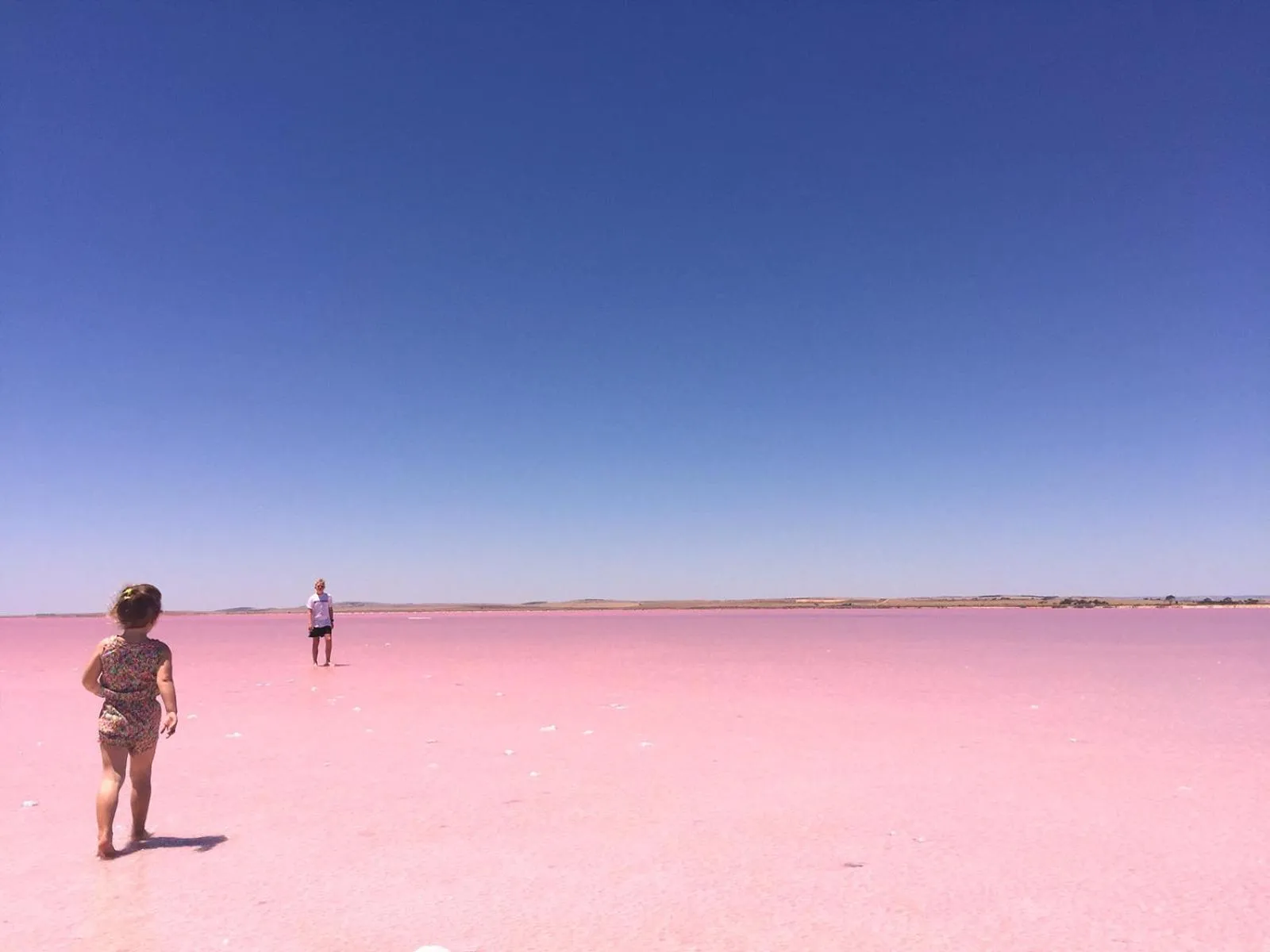 Nearby landmark in The Pink Lake Tiny House - 'Sakura'