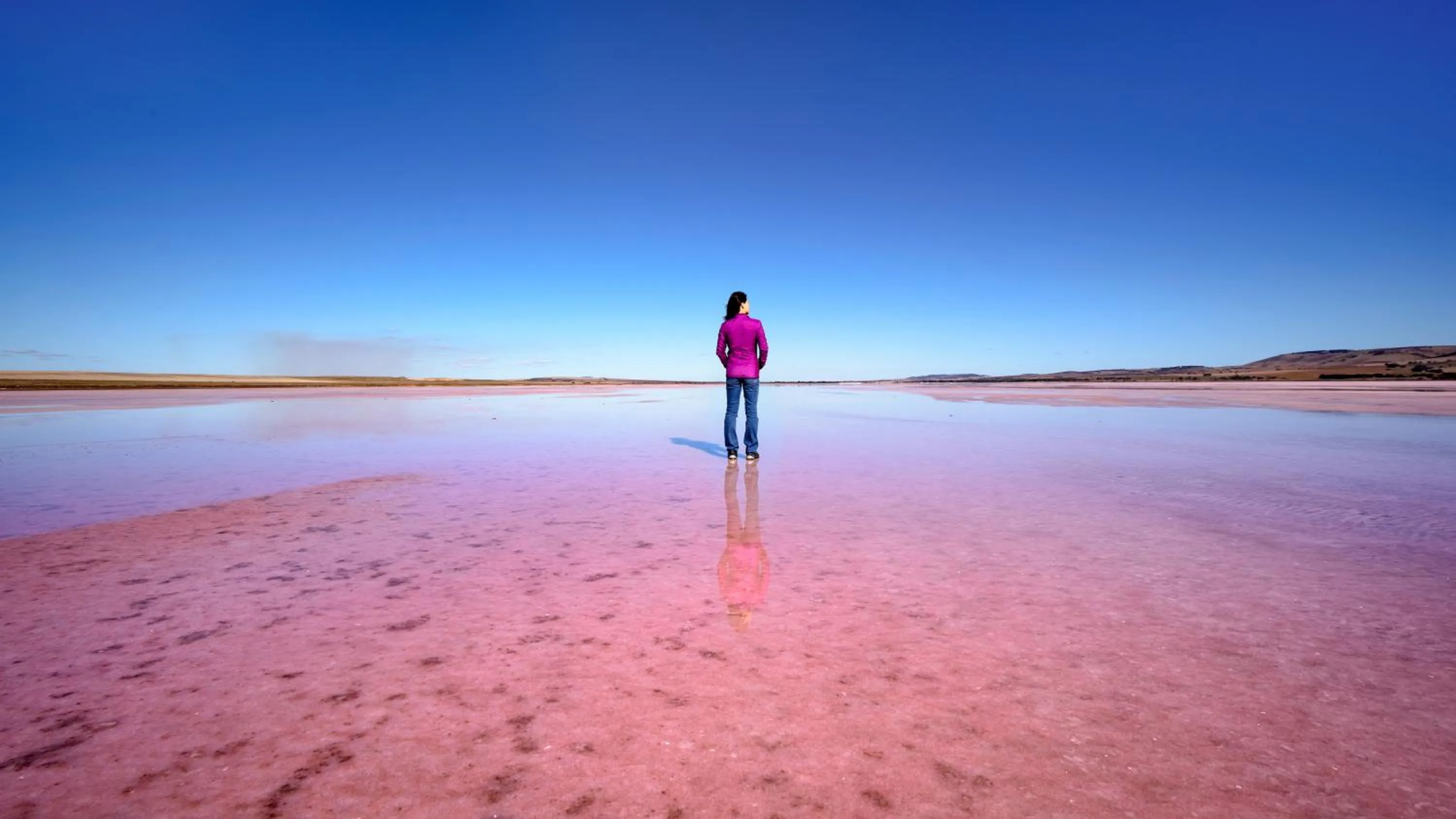 Nearby landmark in The Pink Lake Tiny House - 'Sakura'