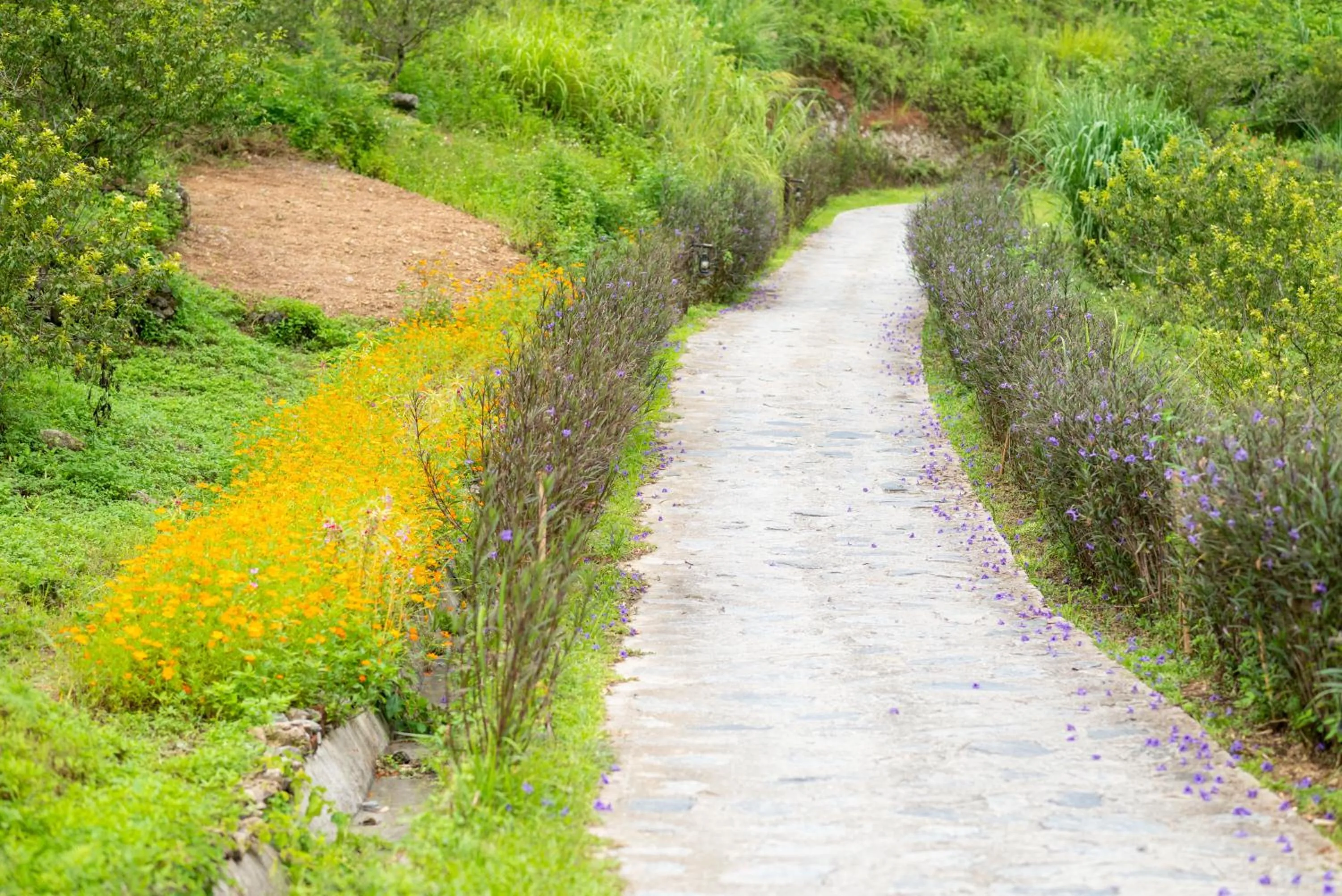 H'mong Village Resort Ha Giang