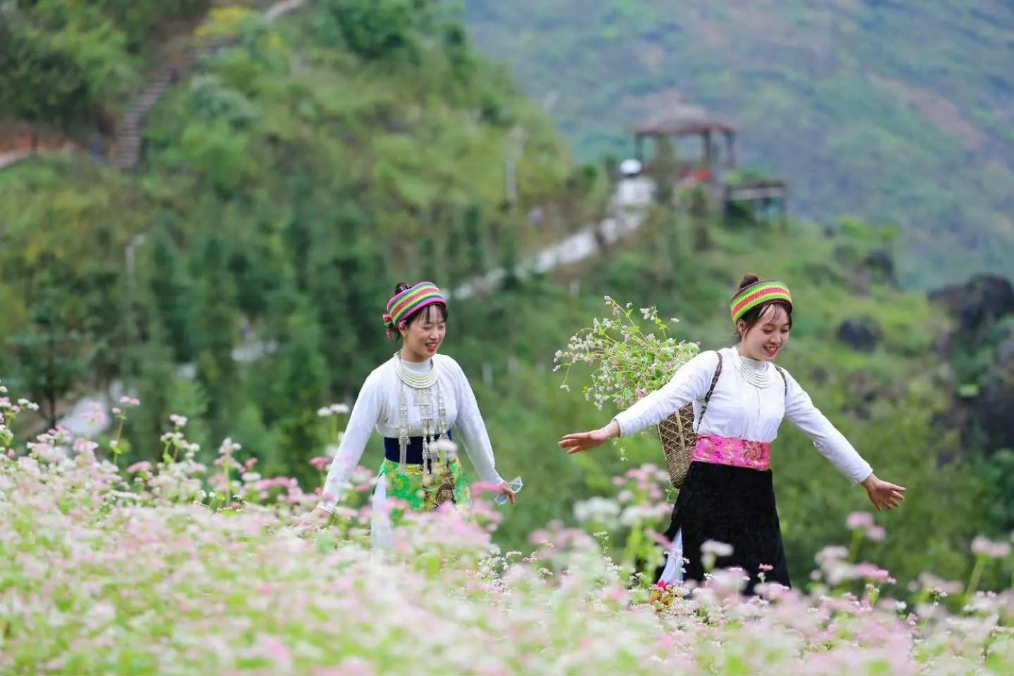 Natural landscape in H'mong Village Resort Ha Giang