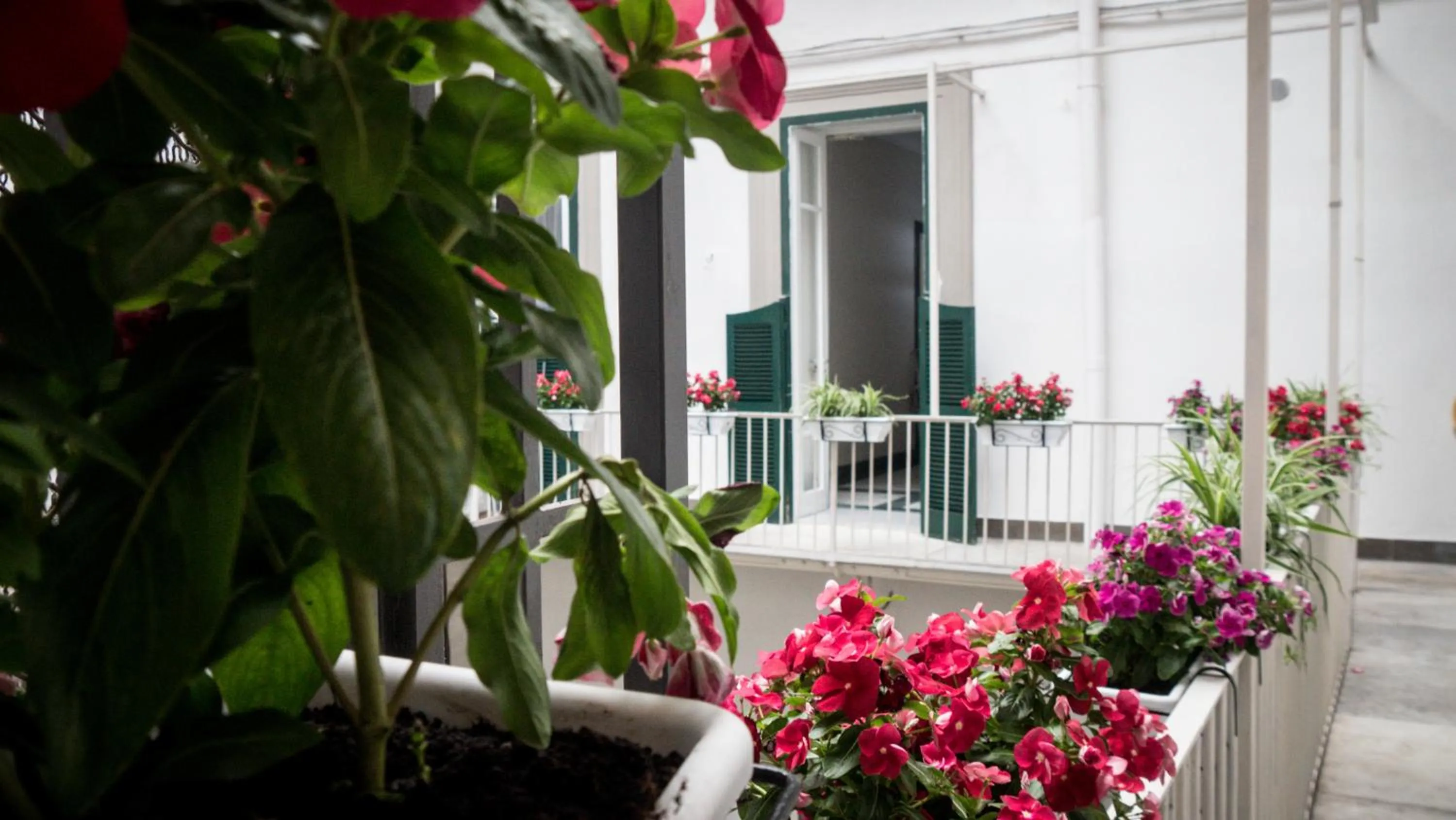 Property building in TOLEDO CLASS