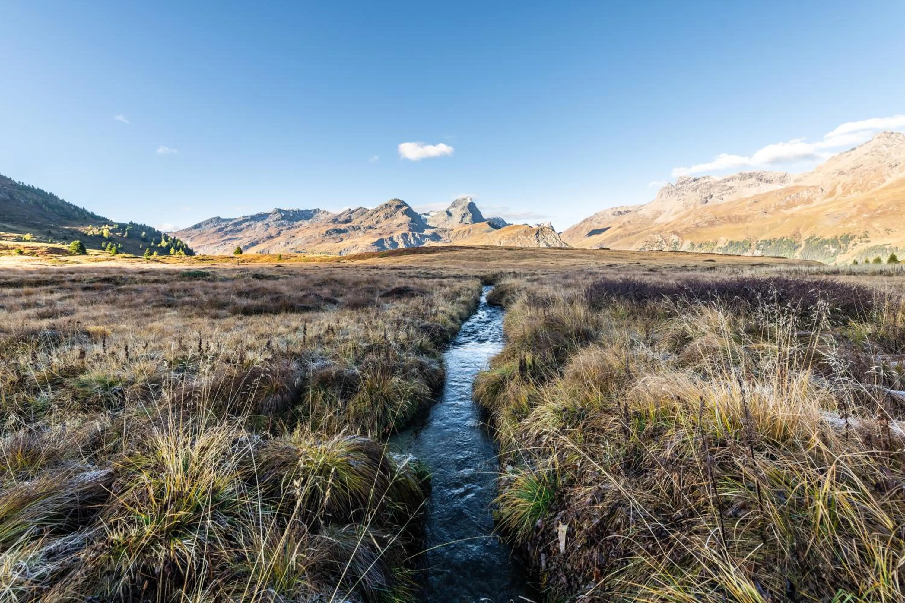Natural landscape in JUFA Hotel Savognin