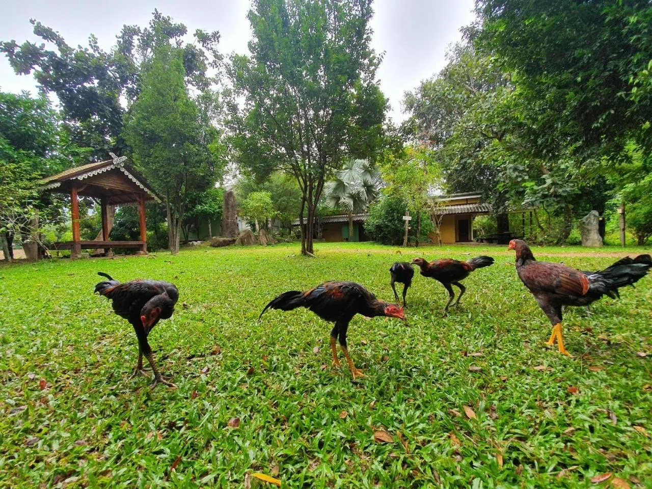 Day in Putan-namsai Resort