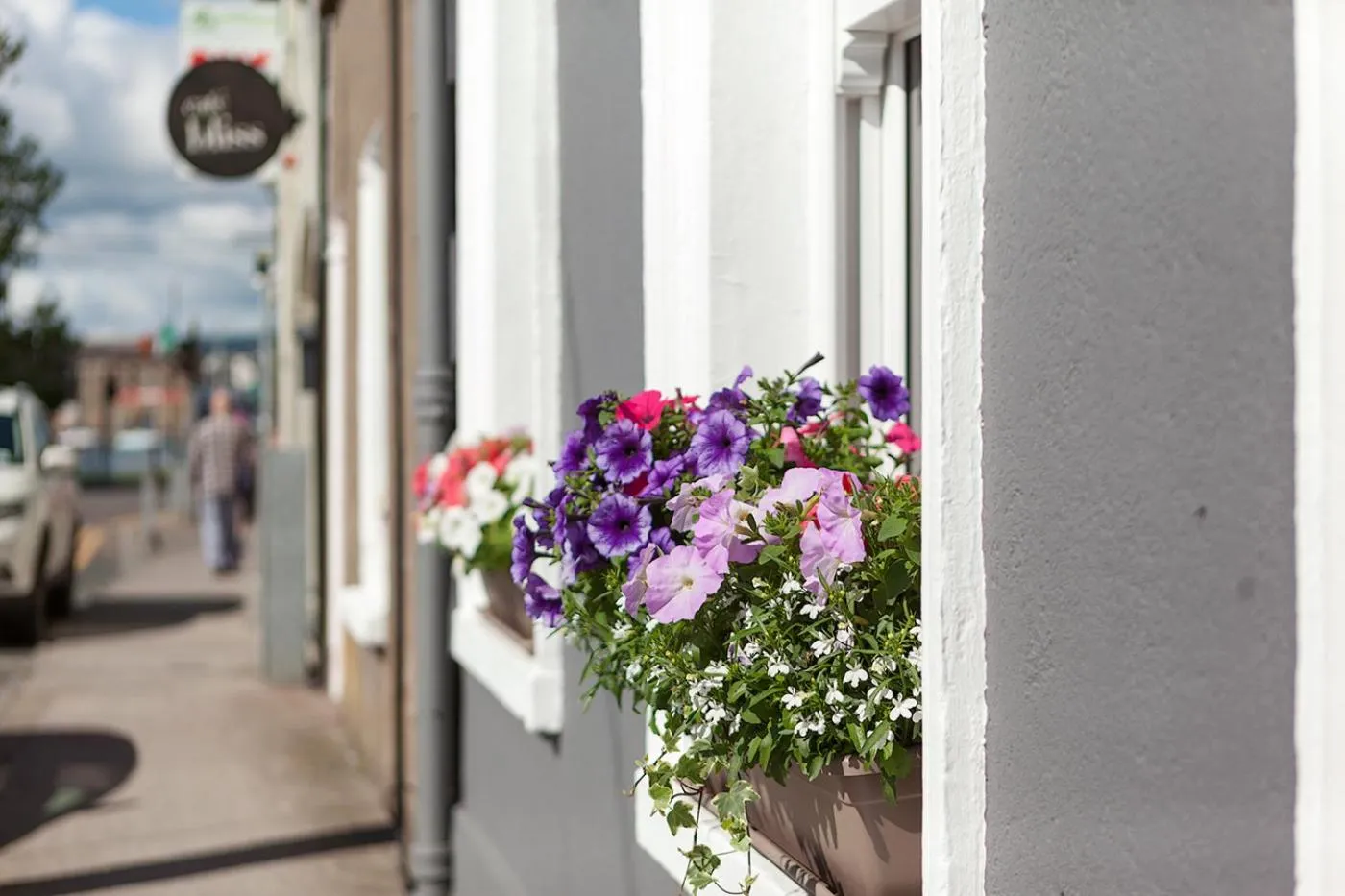 Property building in Macs Townhouse Dungarvan