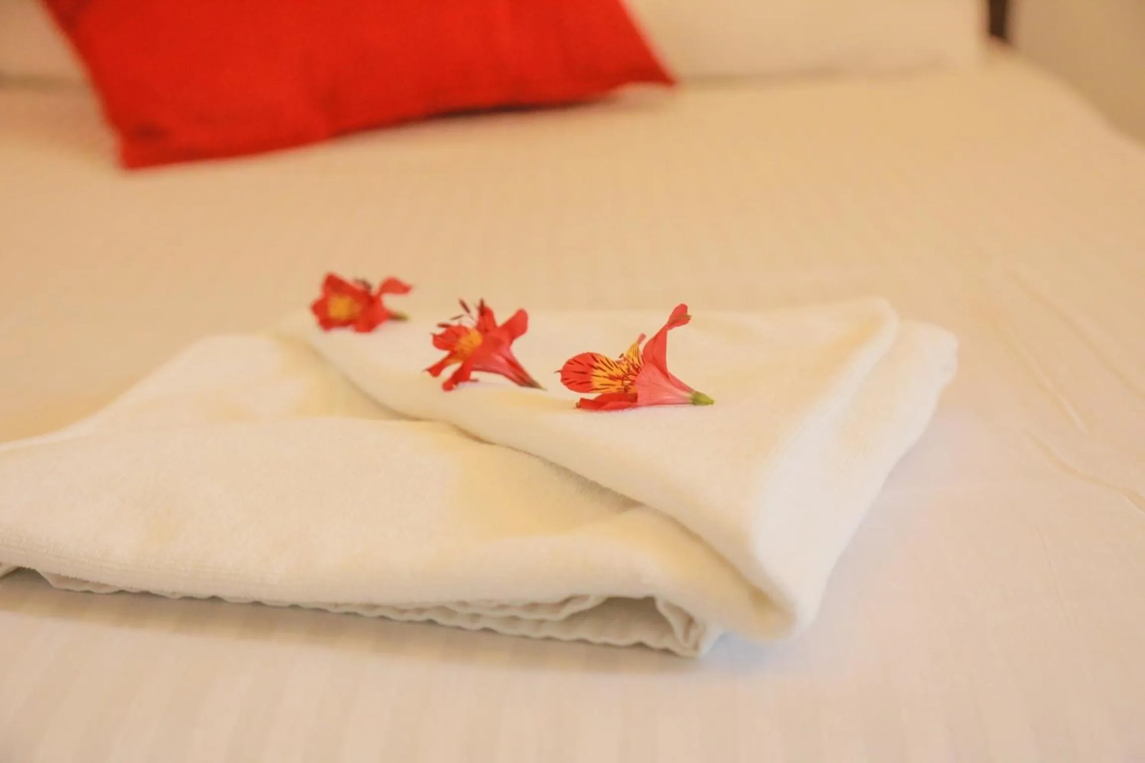 Bed in Inroma Holiday Resort