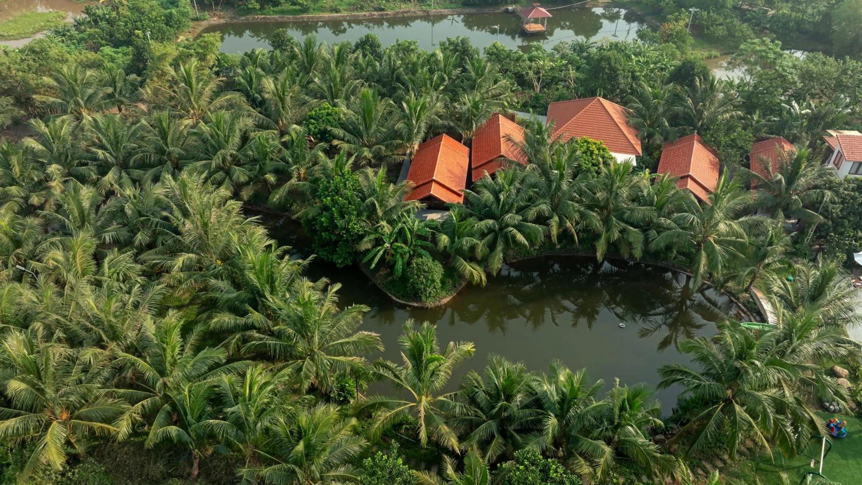 Bird's eye view in Nature Garden Ecolodge Ninh Bình