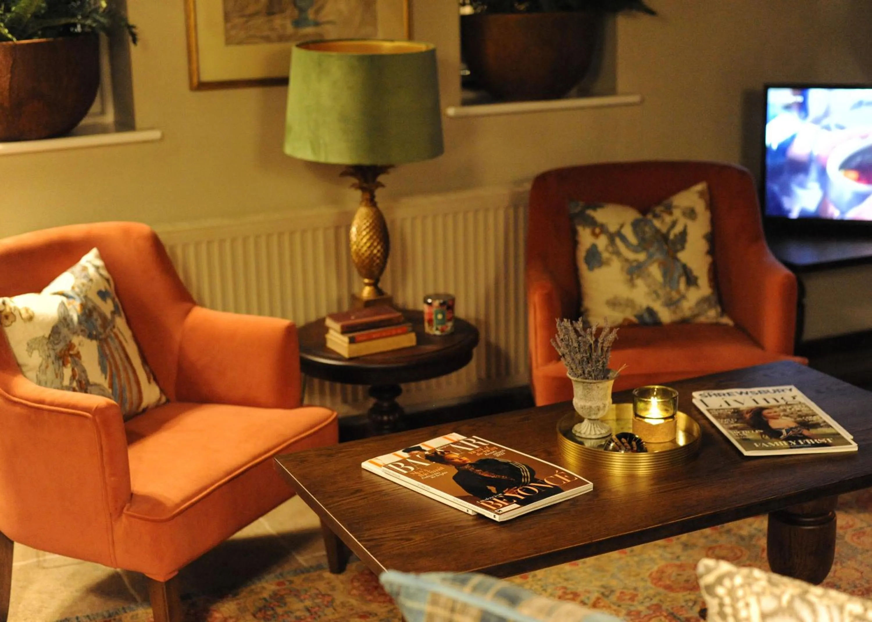 TV and multimedia in The Lion at Malpas