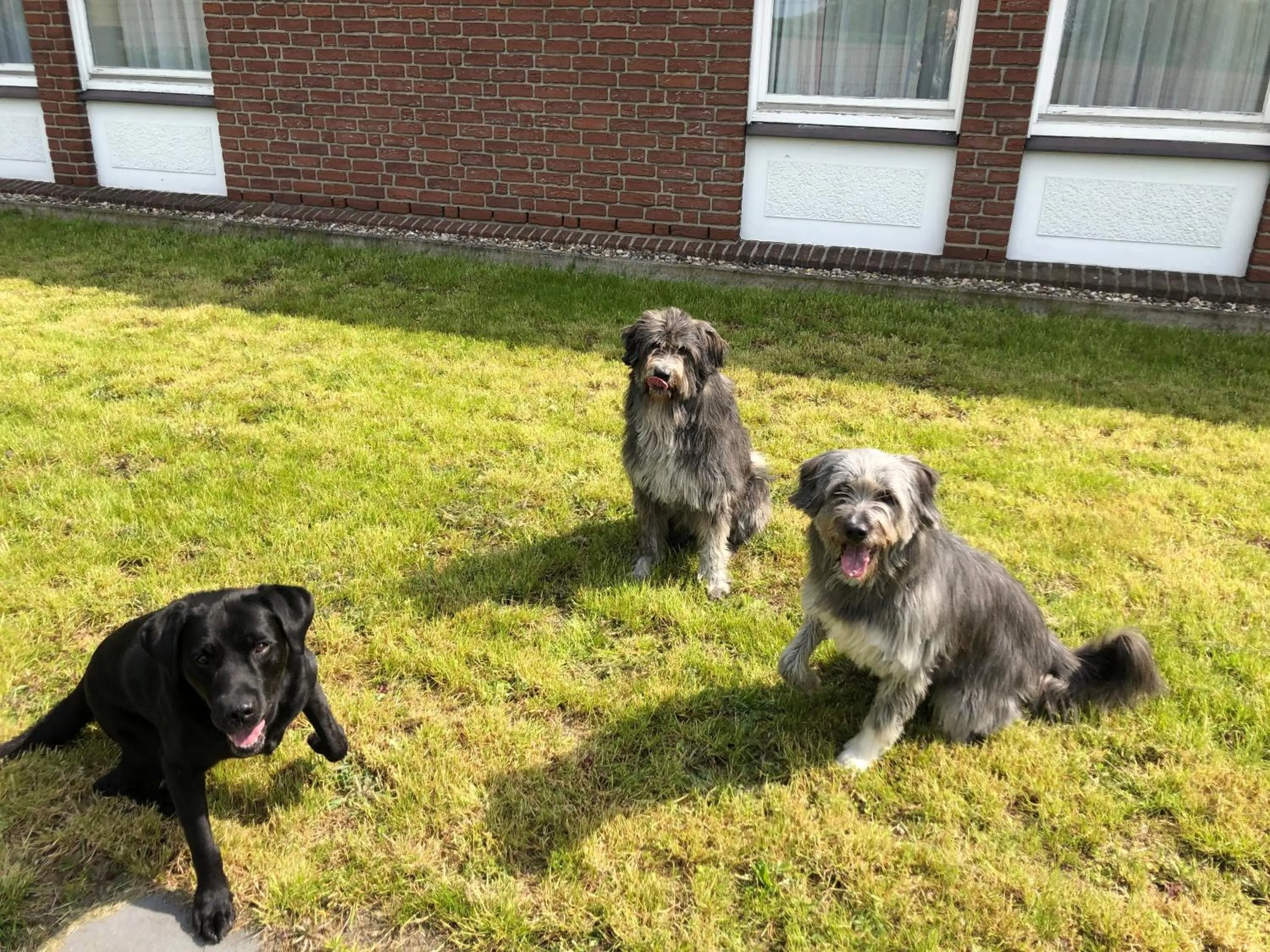 Property building in Hotel am Schlosspark Herten