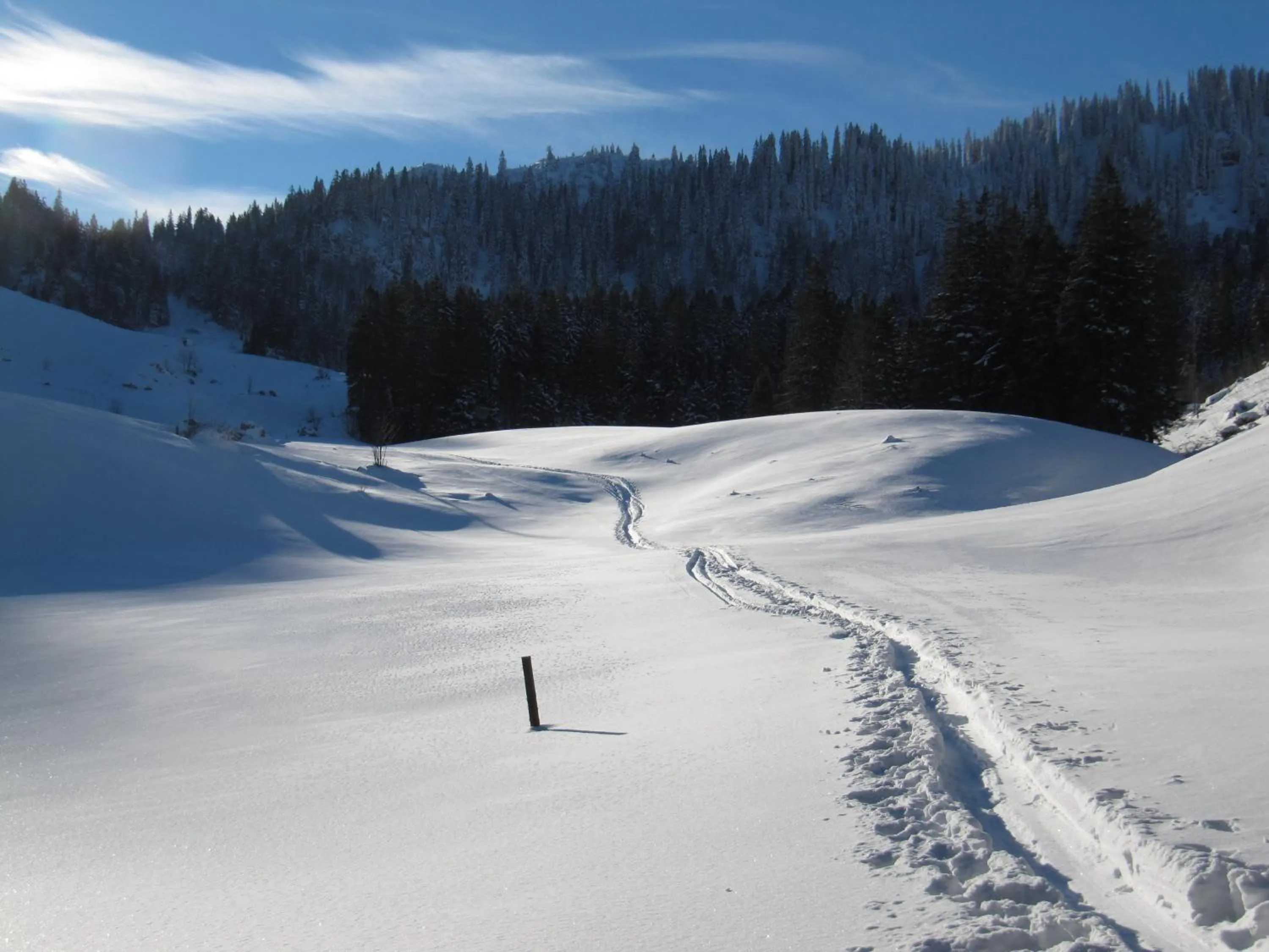 Ski School in Hotel-Pension-Ostler