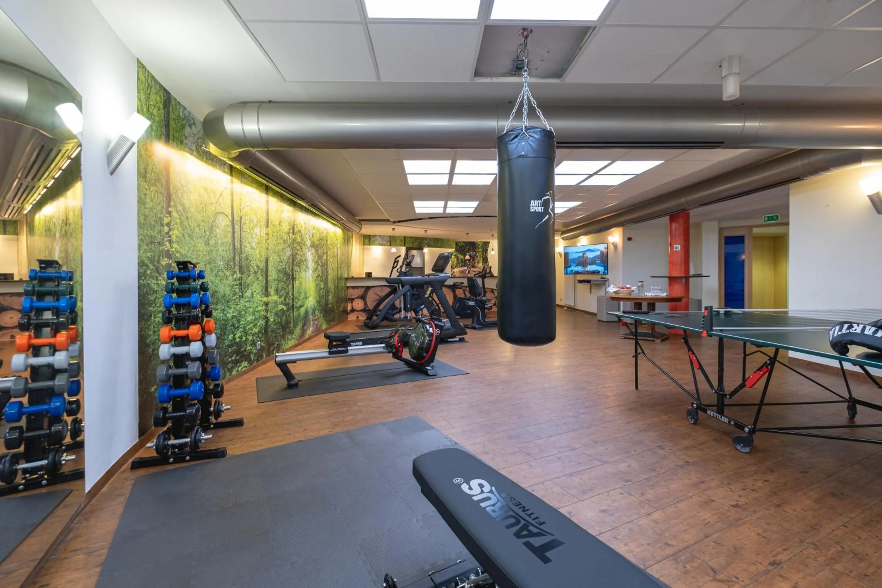 Fitness centre/facilities in Hotel Am Froschbächel