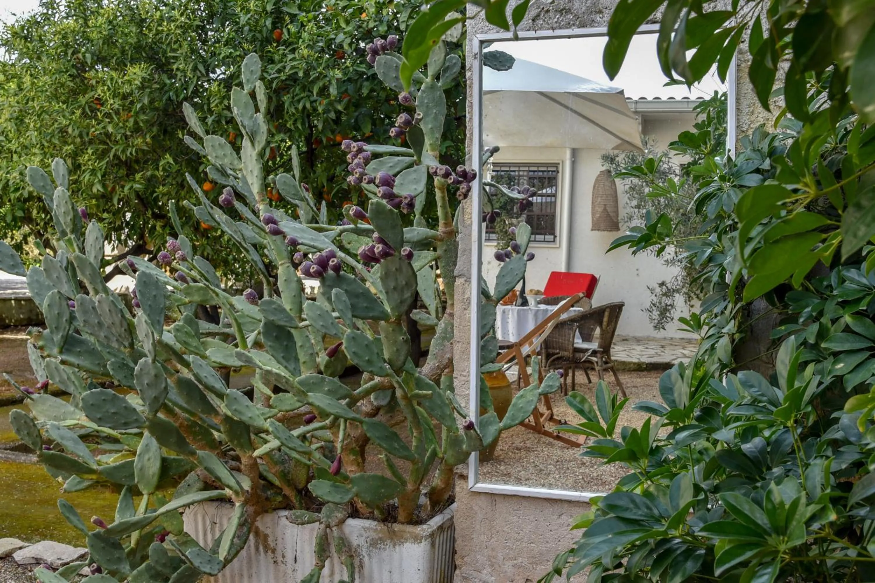 Garden in Antica Casina B&B di Charme