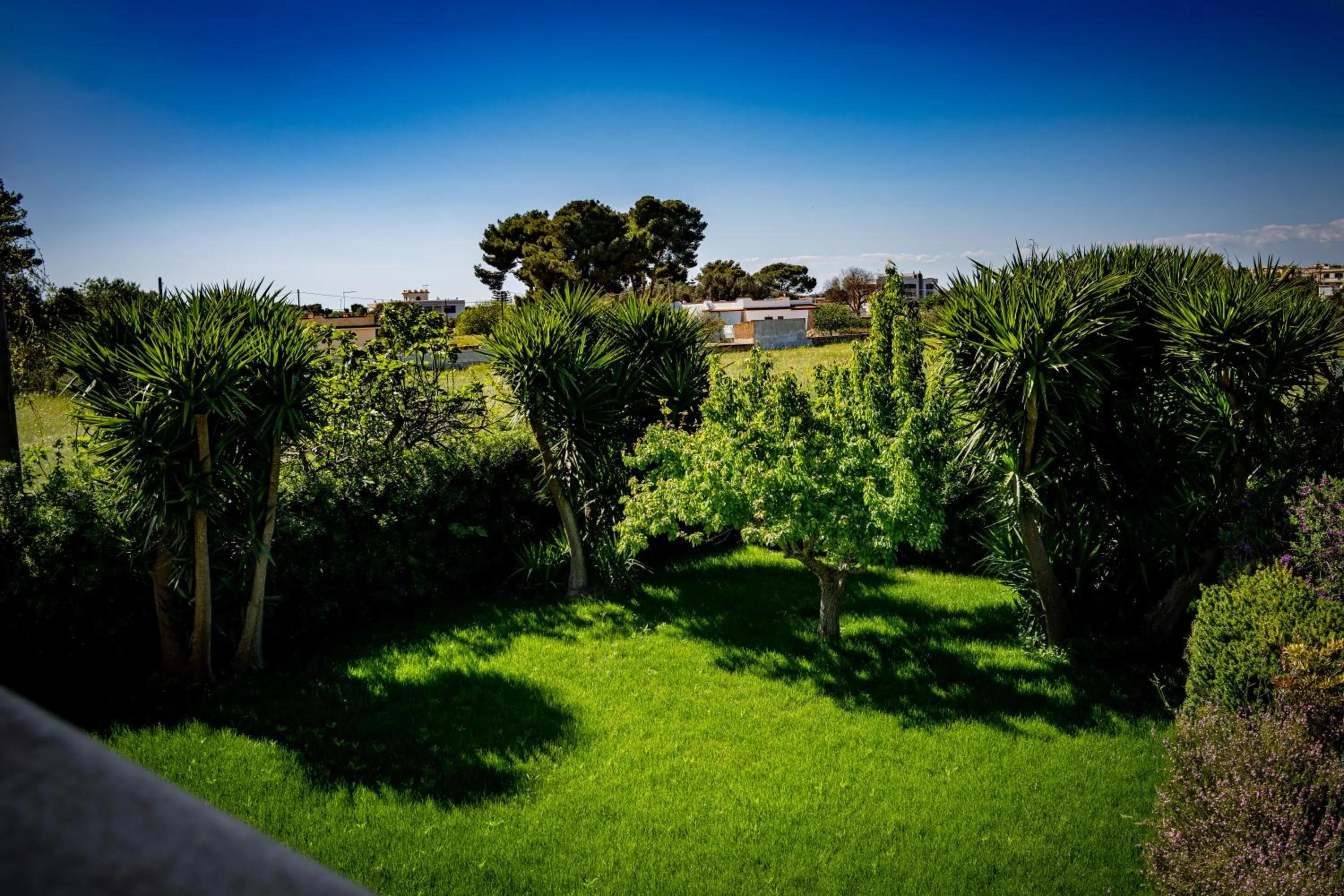 Garden in Antica Casina B&B di Charme