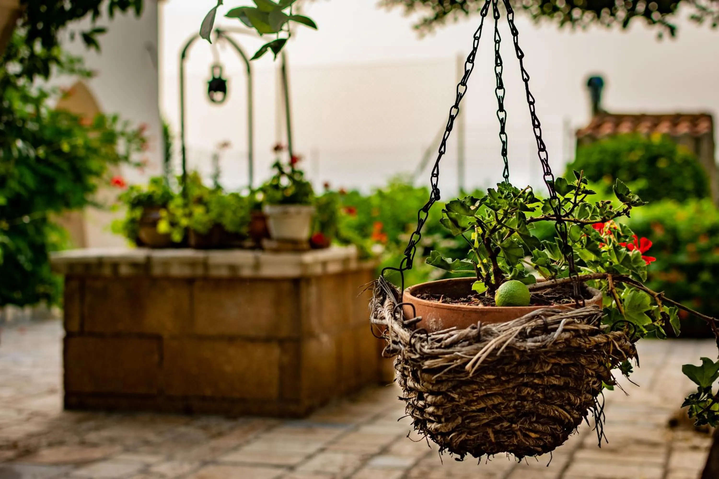 Patio in Antica Casina B&B di Charme