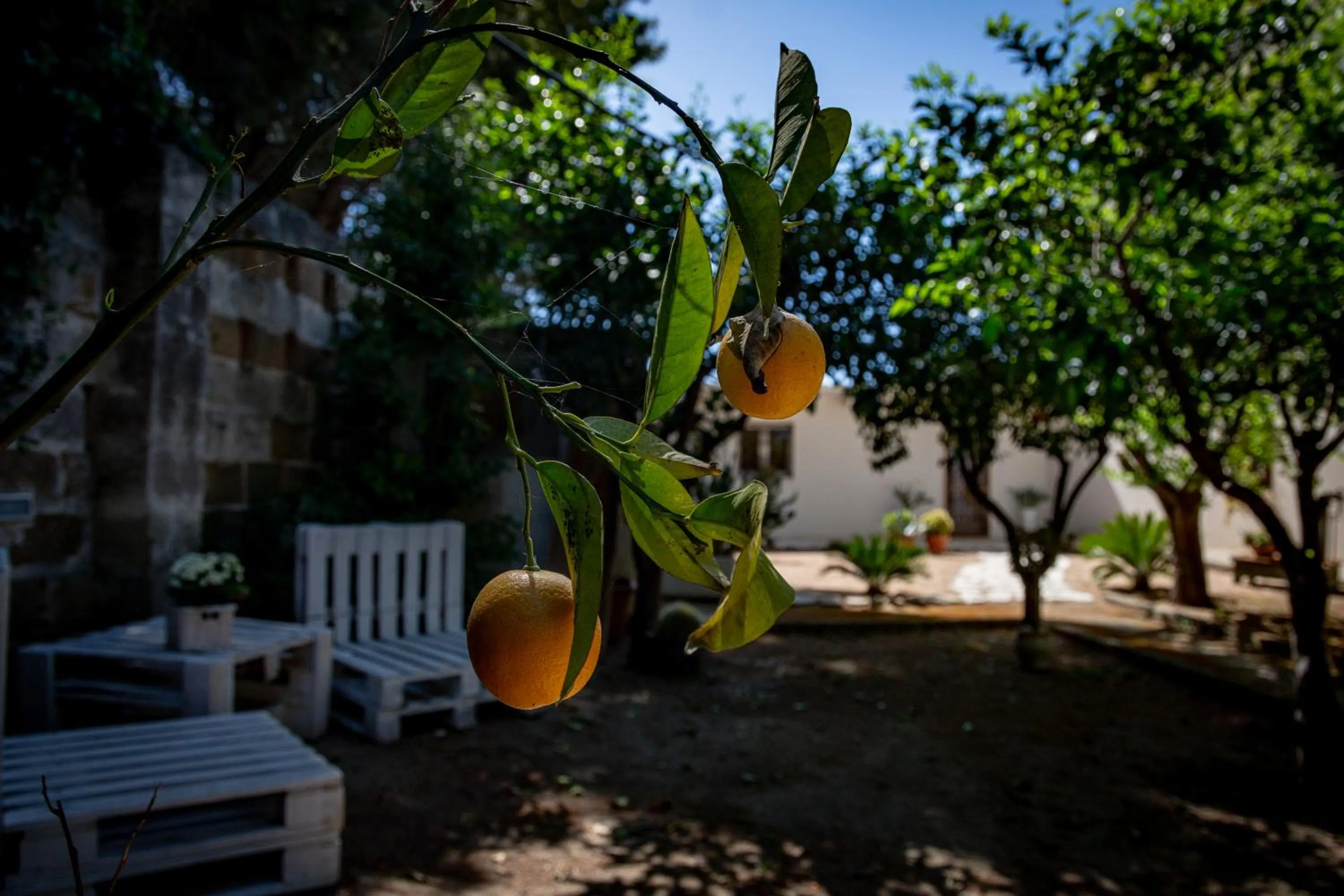 Garden in Antica Casina B&B di Charme
