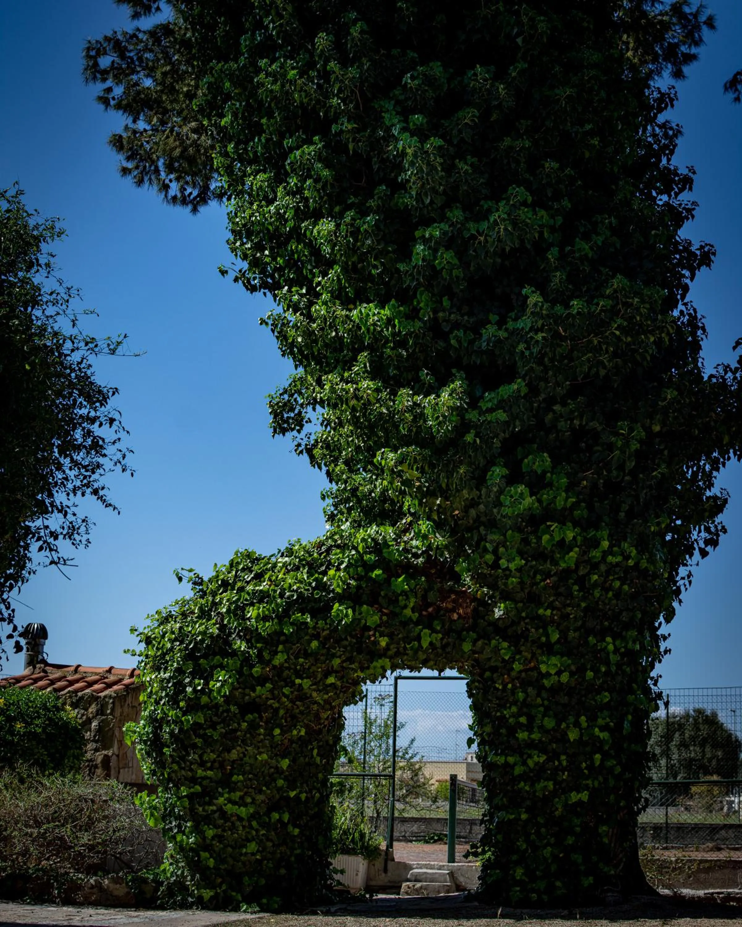 Tennis court in Antica Casina B&B di Charme