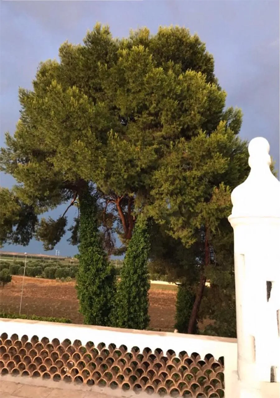 Natural landscape in Antica Casina B&B di Charme