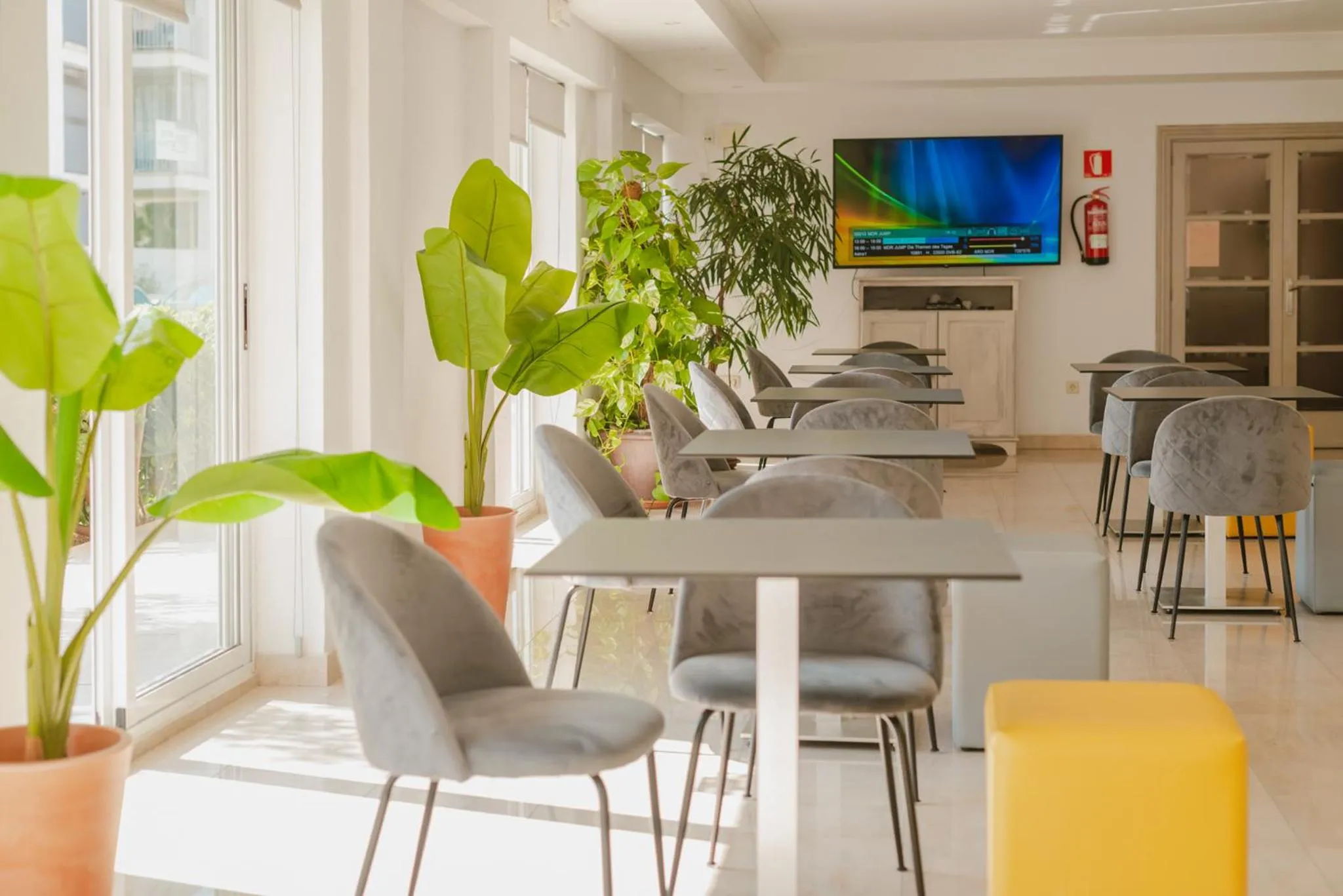 Seating area in Hotel LLITERAS