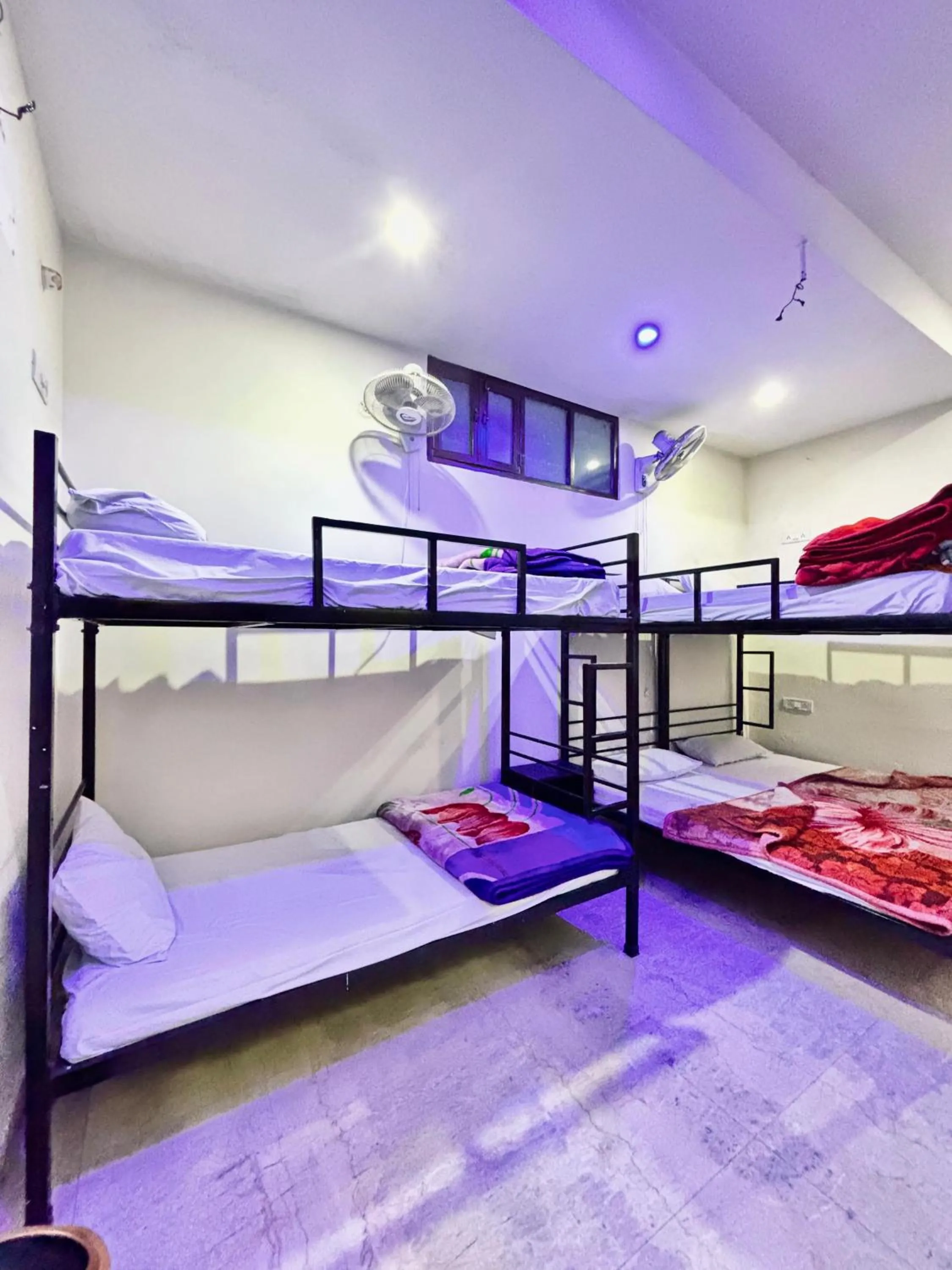 bunk bed, Bed in Hotel Royal Pinkcity
