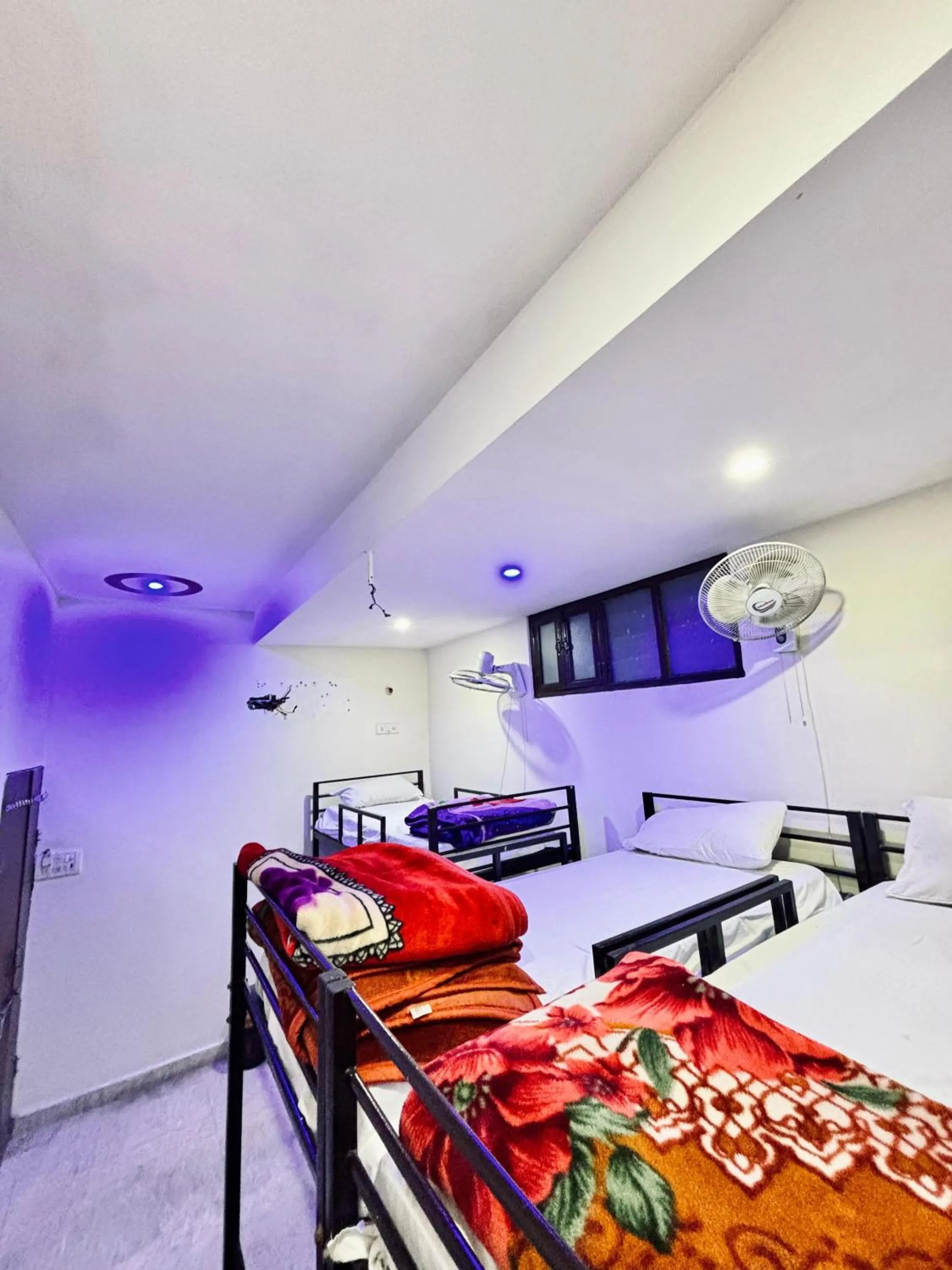 Photo of the whole room, Bed in Hotel Royal Pinkcity