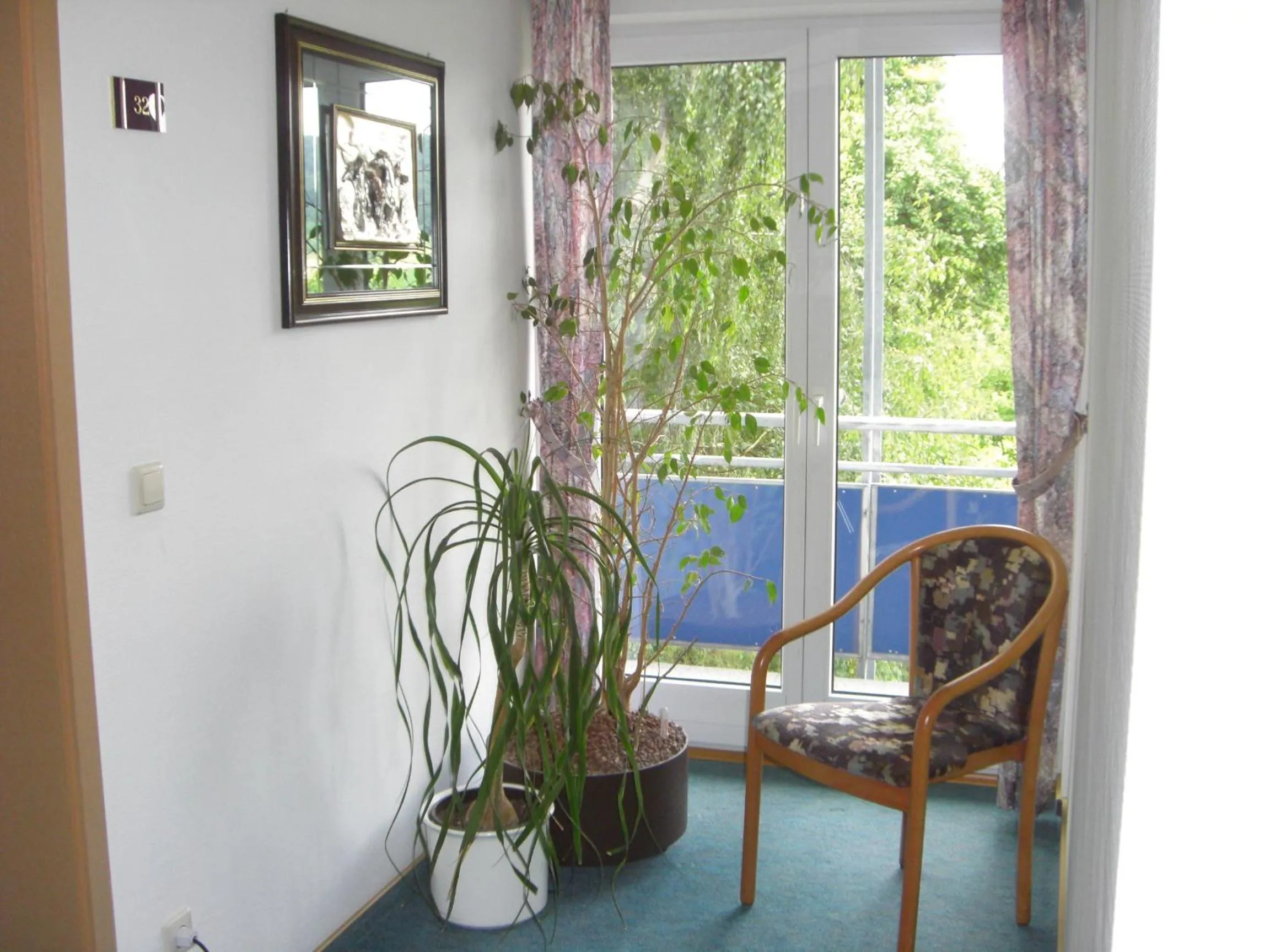 Garden view in Hotel Sonneck