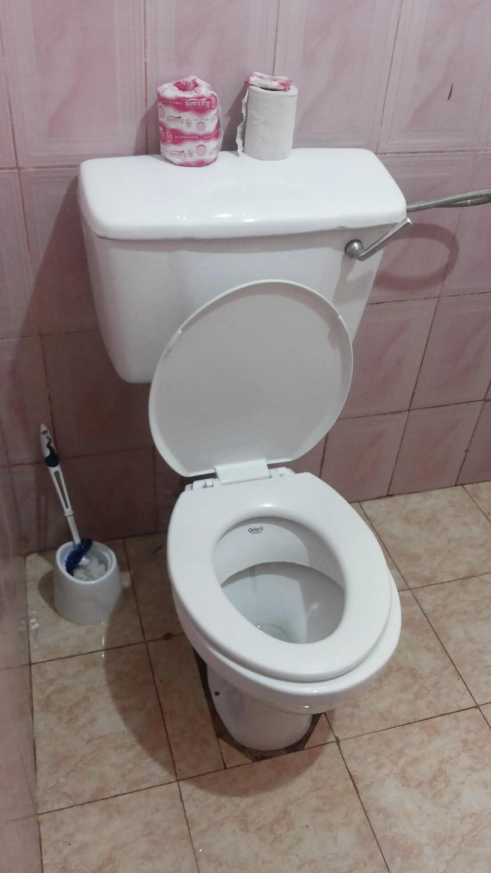 Toilet in Blue Dove Koboko