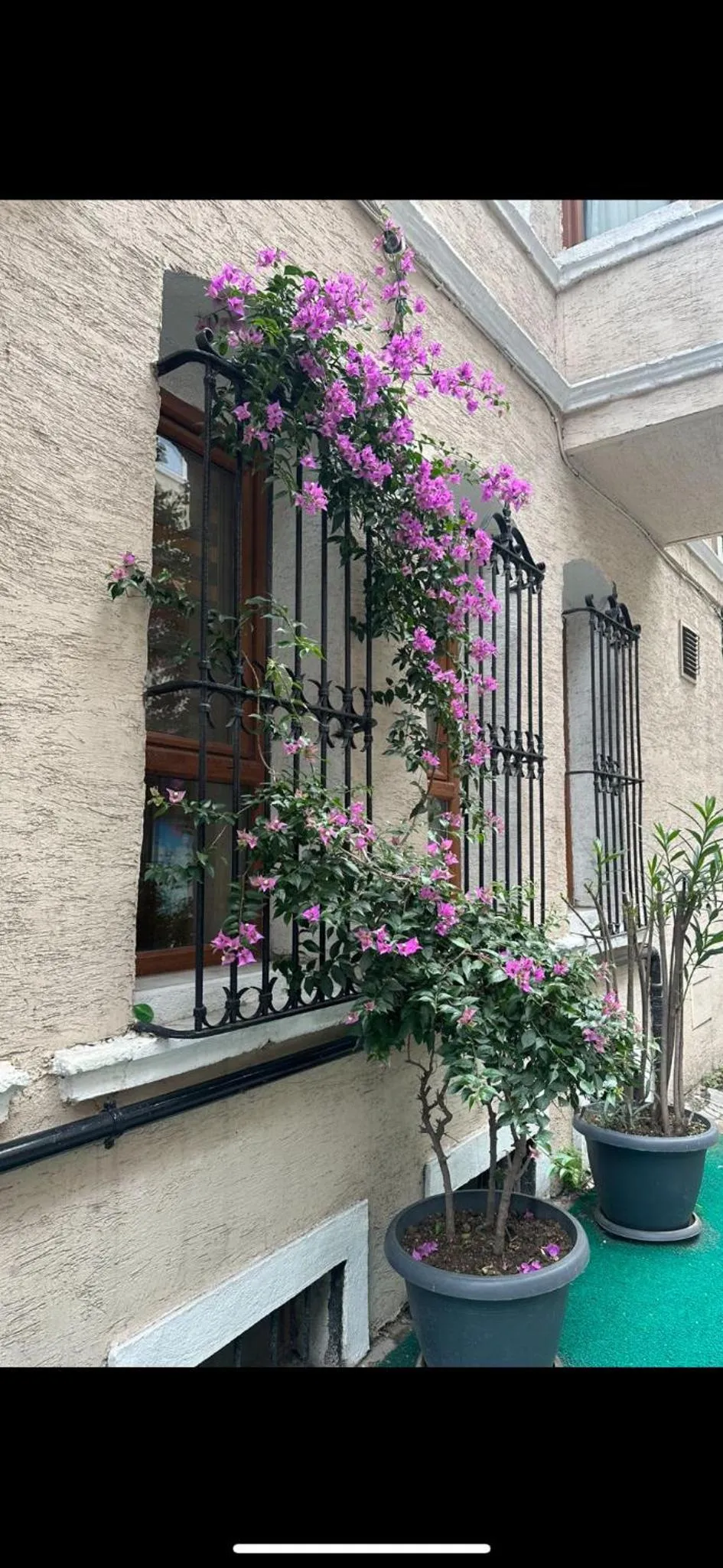 Property building in Hotel Orkide